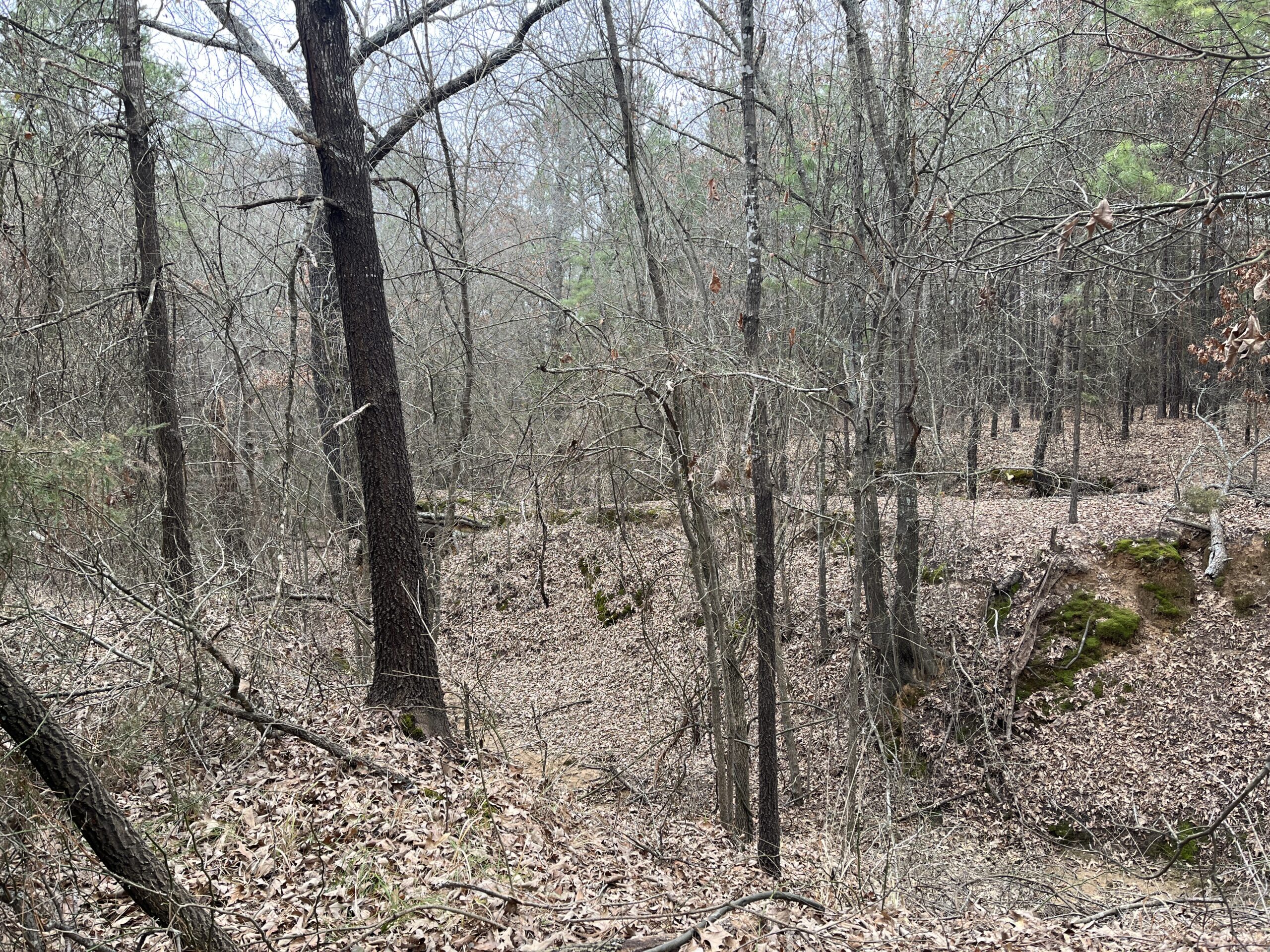 20-Acre Hunter’s Paradise in Southeastern Oklahoma-Prime location & Utilities Ready