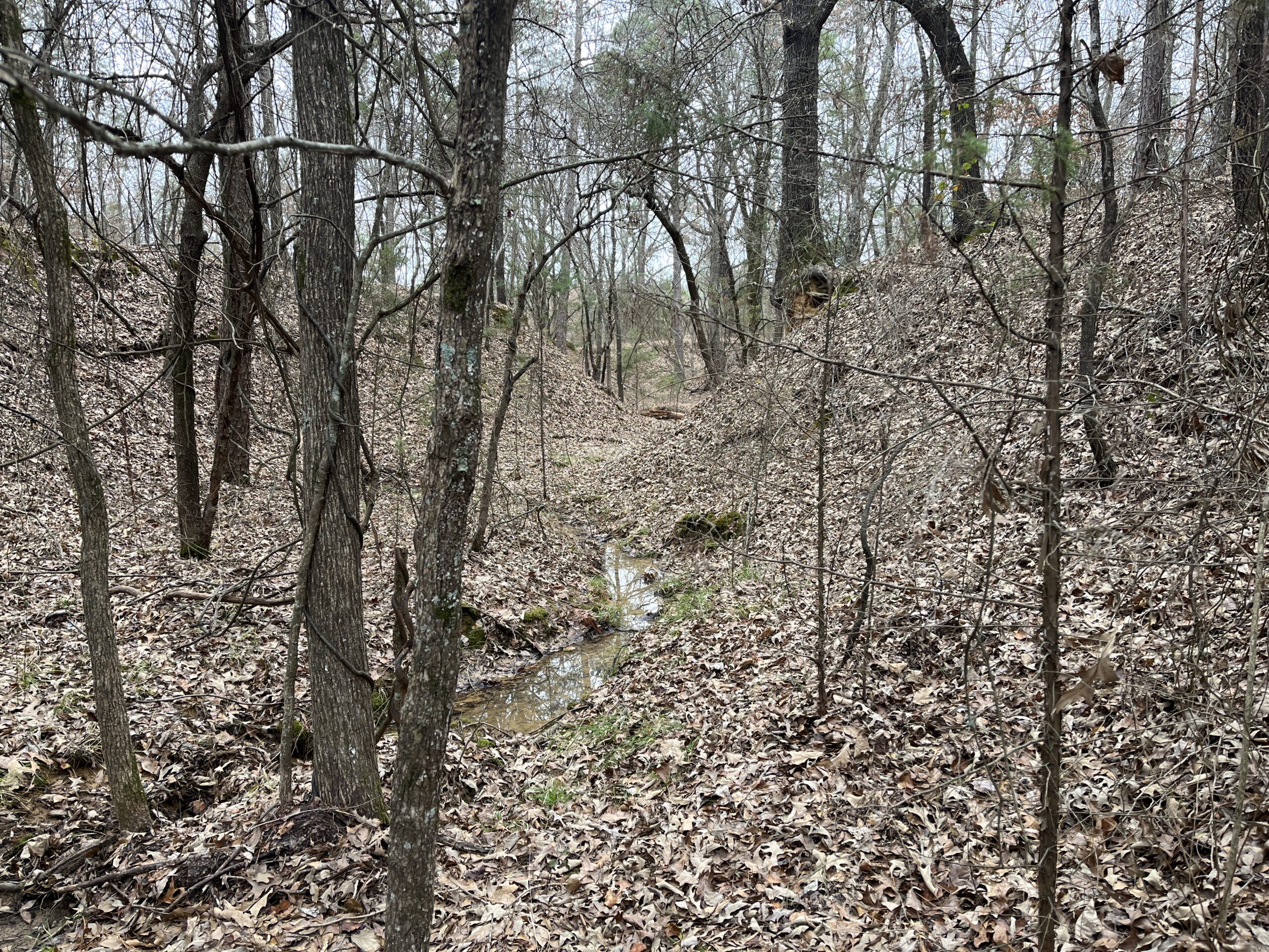 20-Acre Hunter’s Paradise in Southeastern Oklahoma-Prime location & Utilities Ready