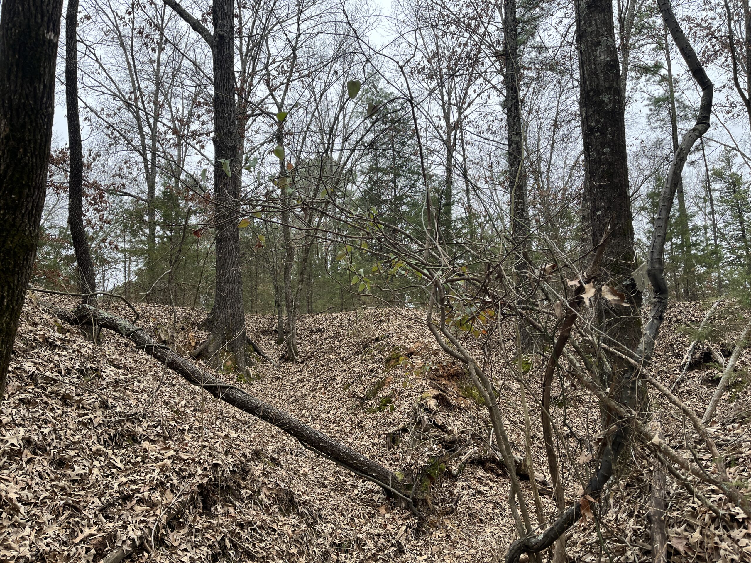 20-Acre Hunter’s Paradise in Southeastern Oklahoma-Prime location & Utilities Ready