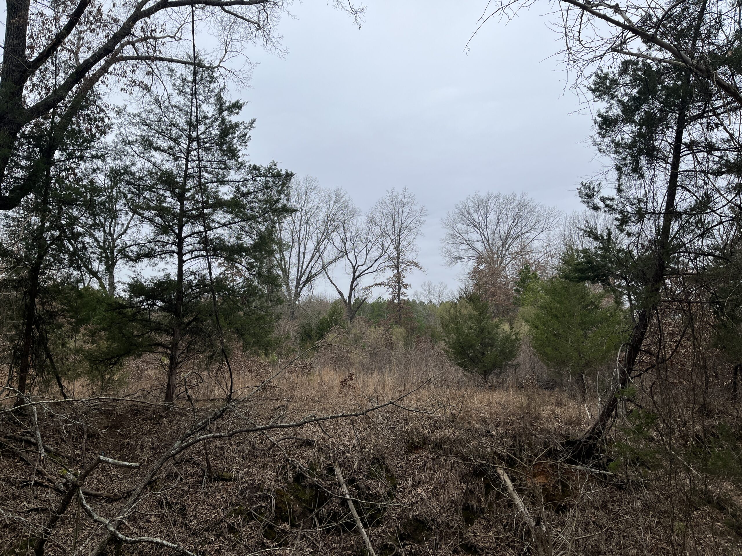 20-Acre Hunter’s Paradise in Southeastern Oklahoma-Prime location & Utilities Ready