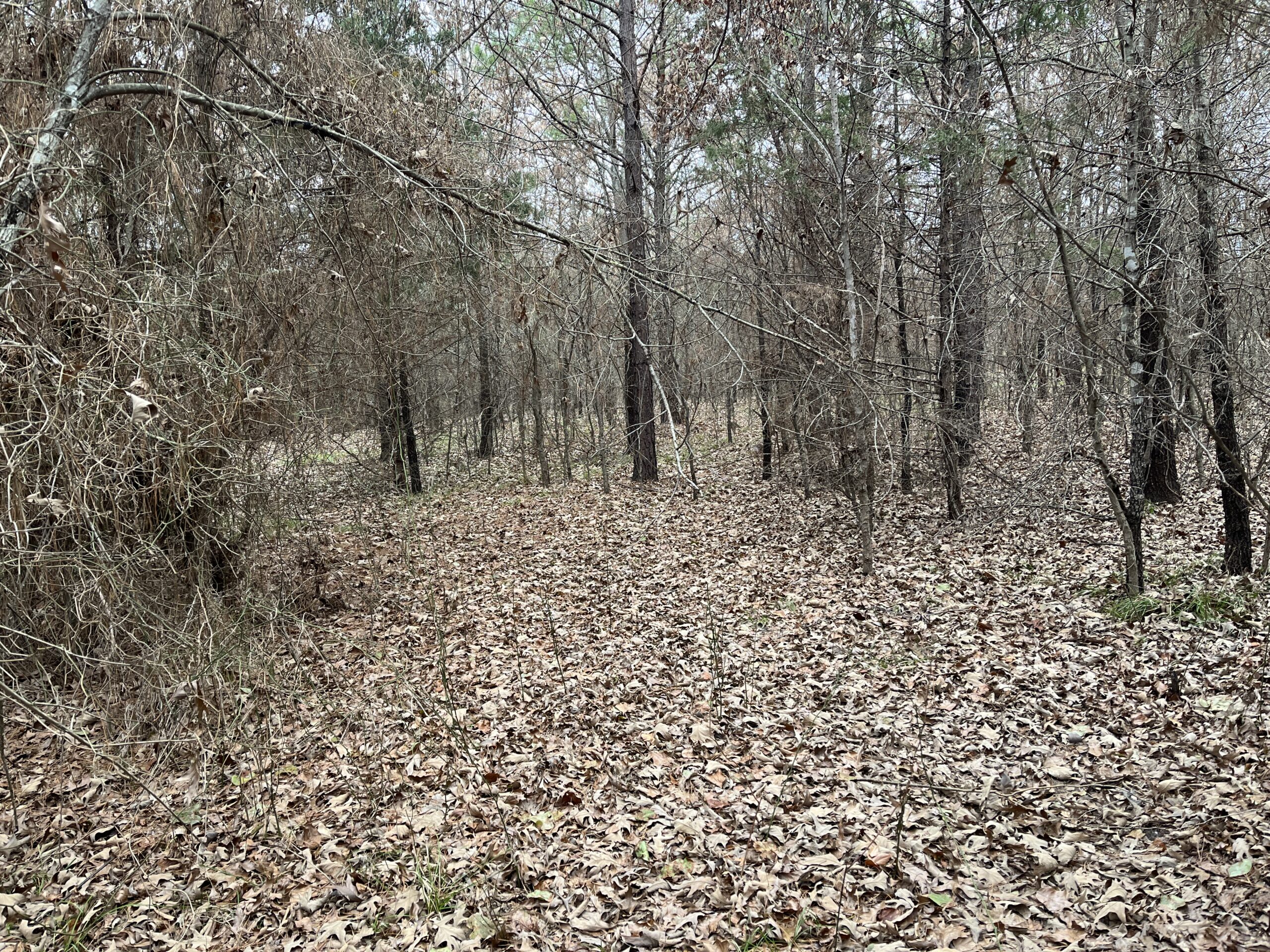 20-Acre Hunter’s Paradise in Southeastern Oklahoma-Prime location & Utilities Ready