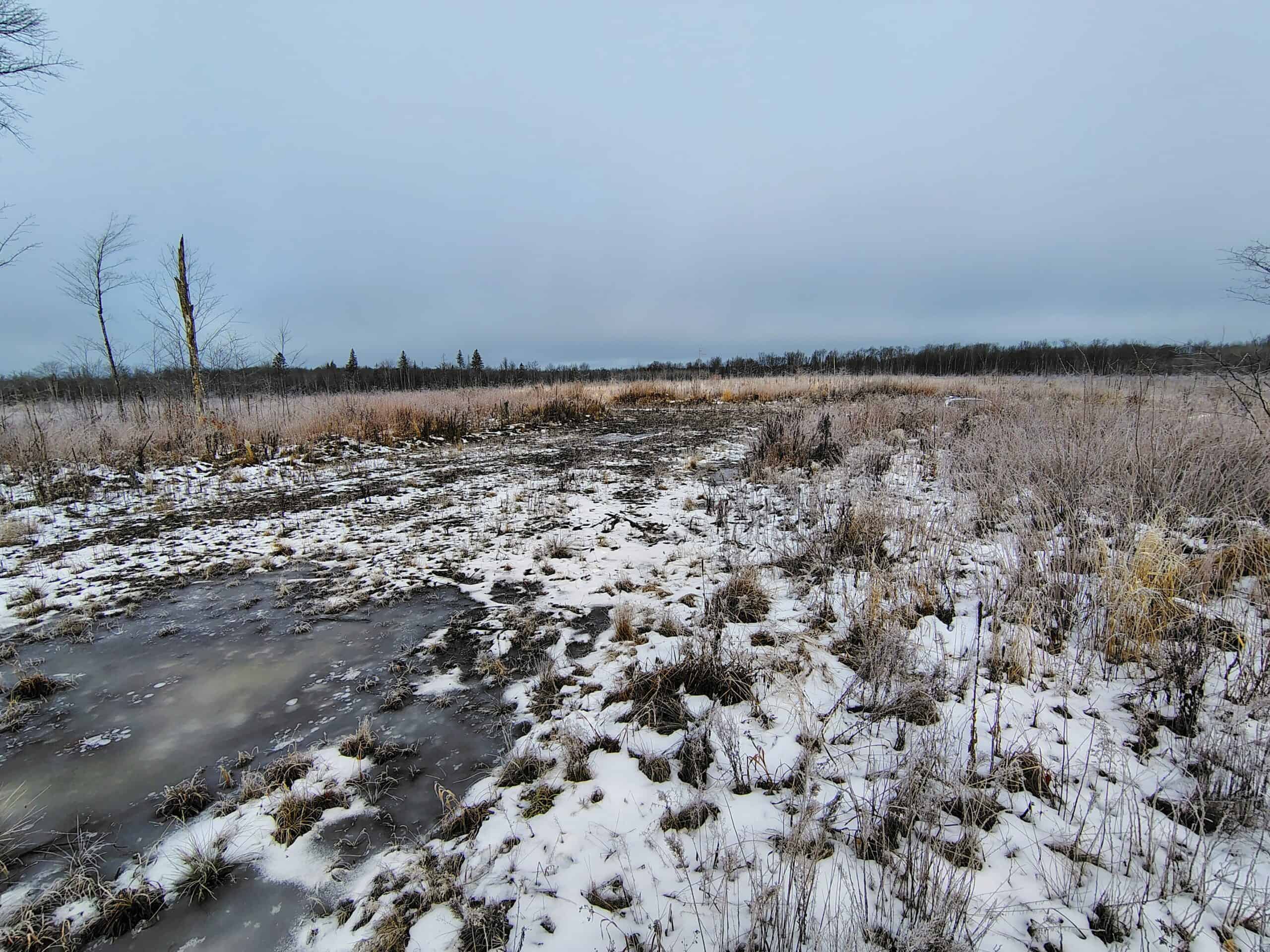 Recreational Land for Sale in Butternut, Wisconsin