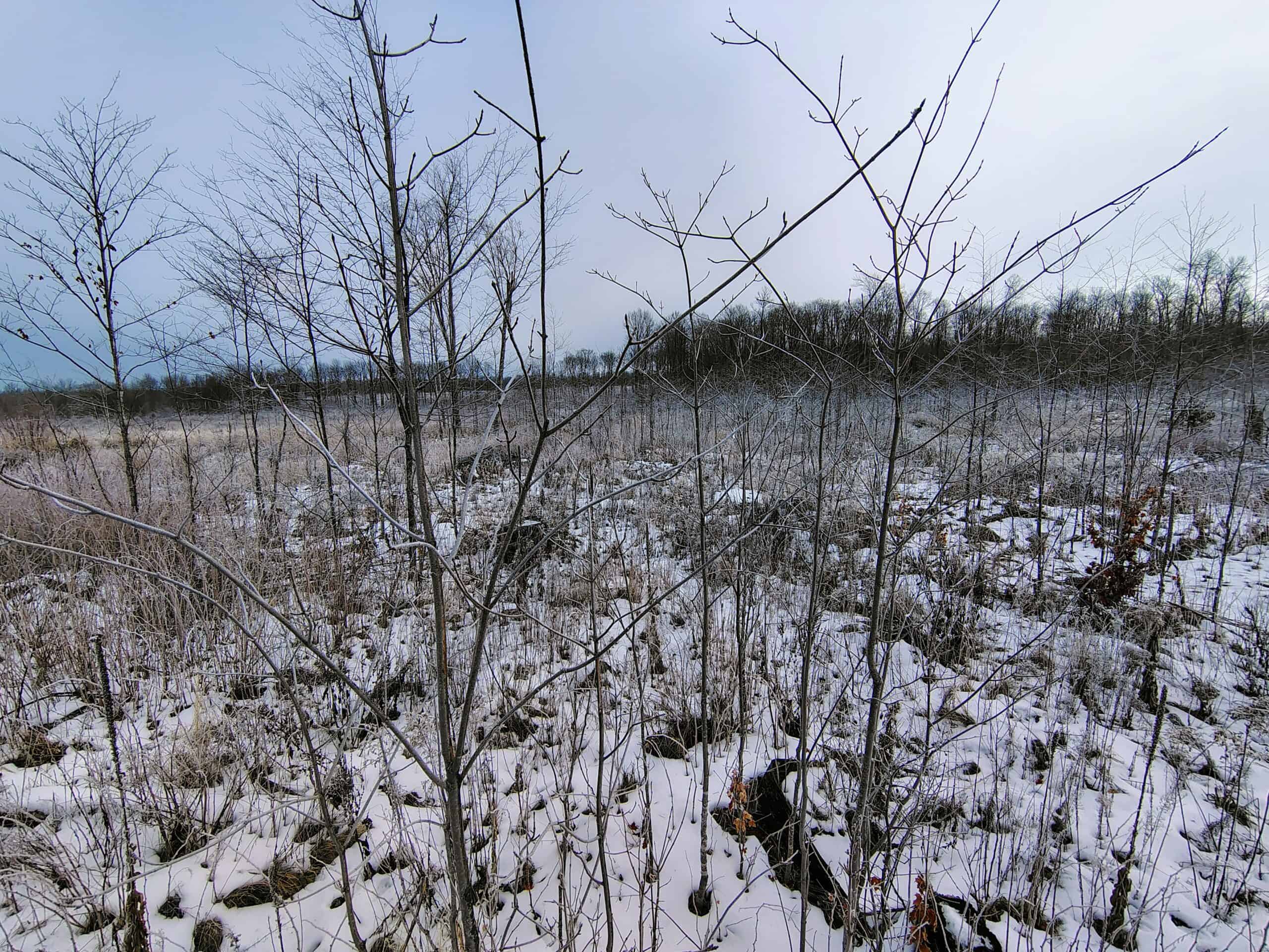 Recreational Land for Sale in Butternut, Wisconsin