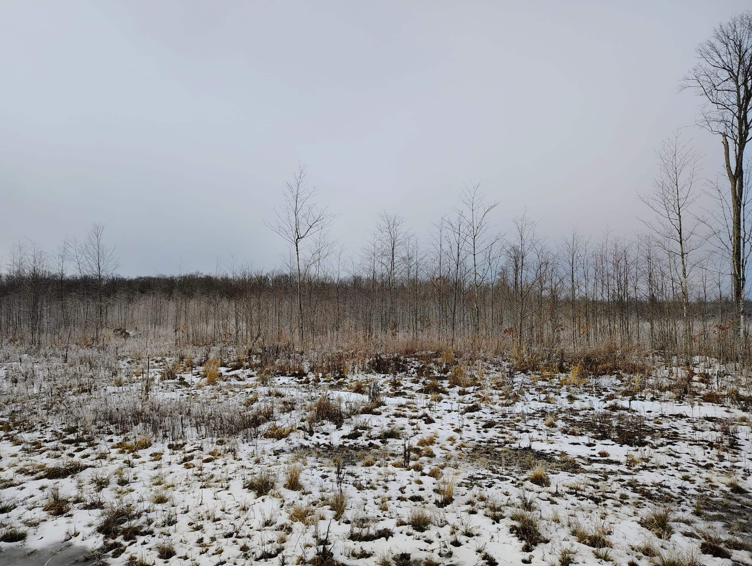 Recreational Land for Sale in Butternut, Wisconsin