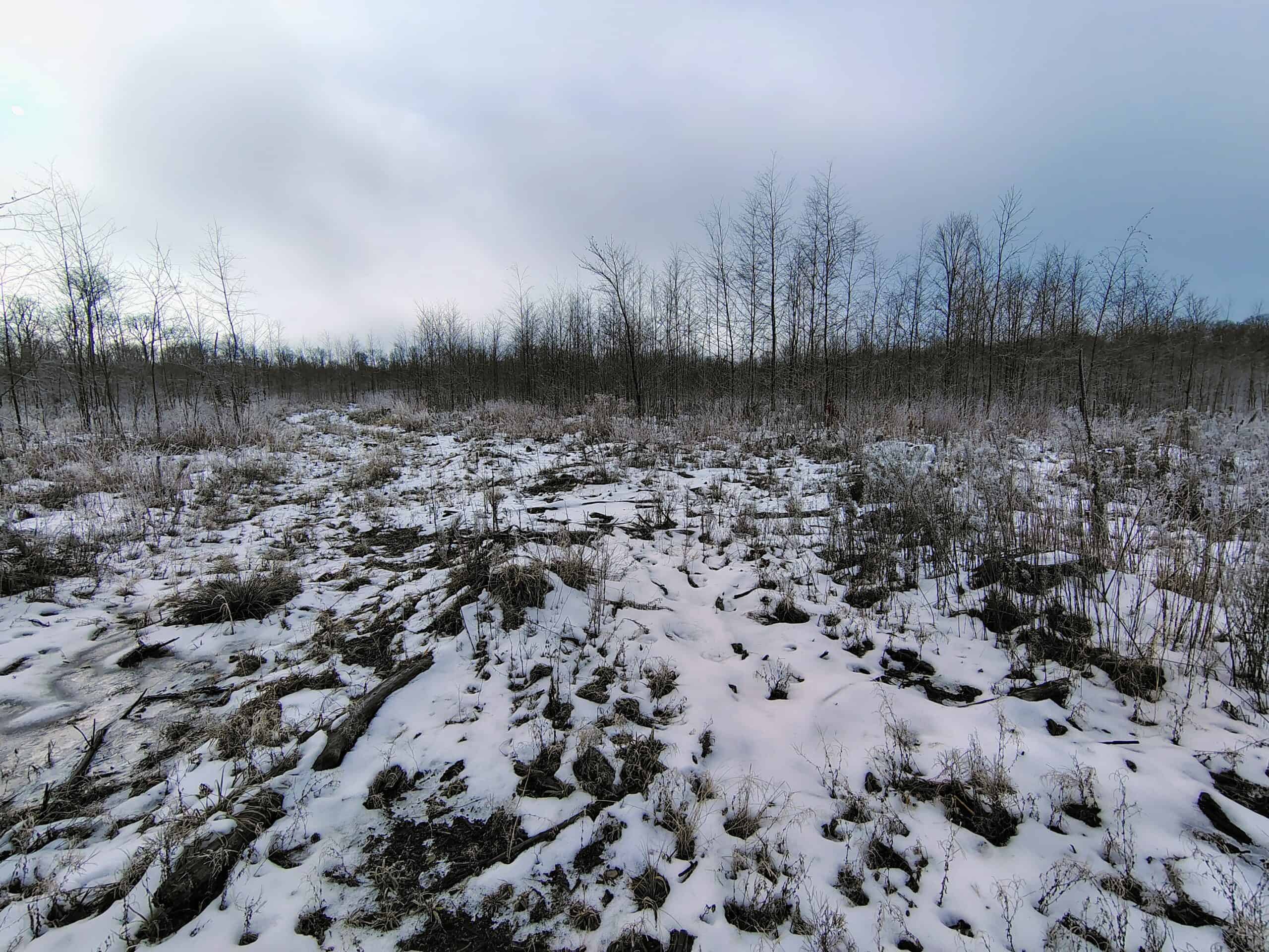 Recreational Land for Sale in Butternut, Wisconsin