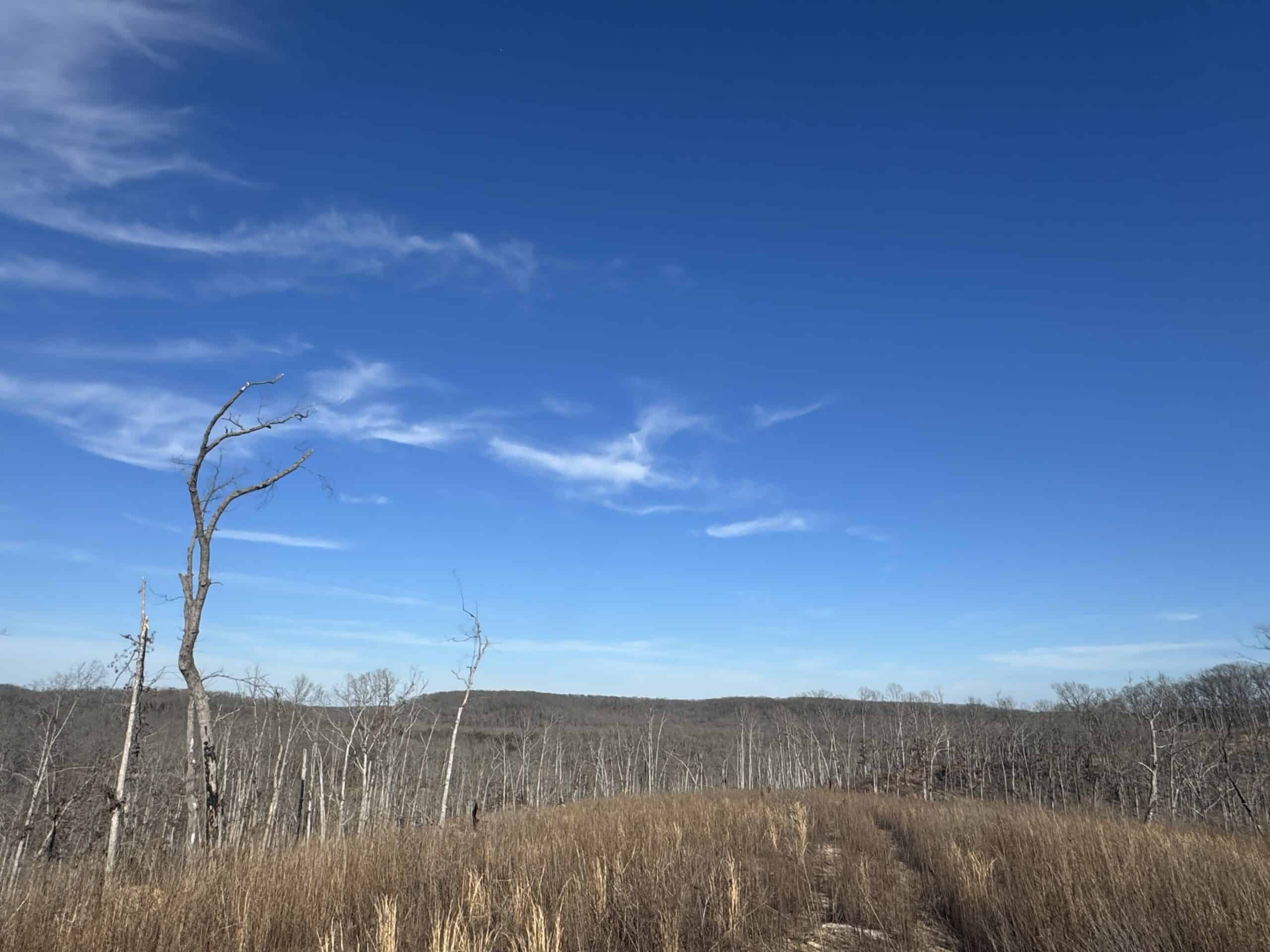 Unimproved Land with Hunting Opportunities near Dixon, MO