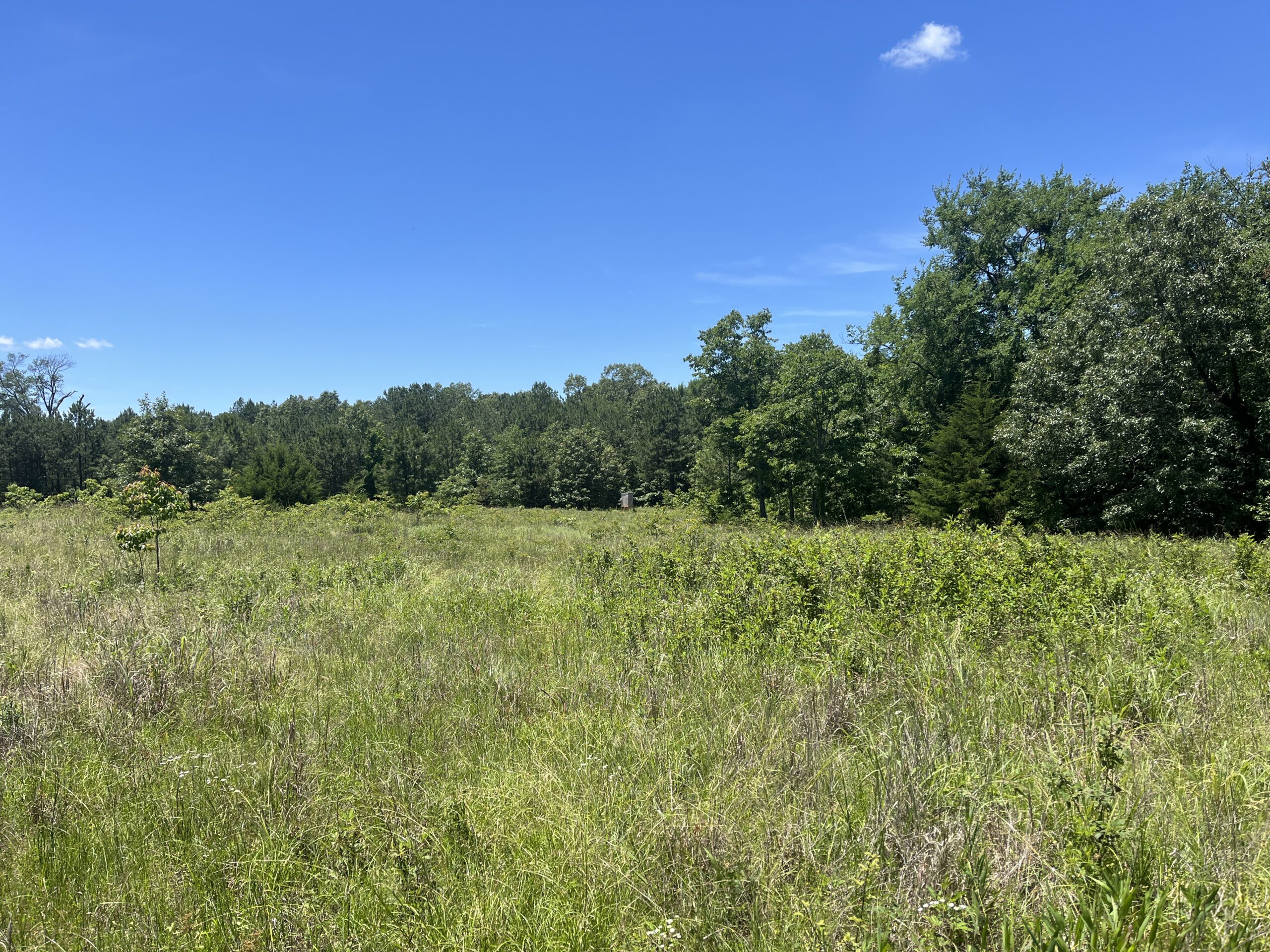 20-Acre Hunter’s Paradise in Southeastern Oklahoma-Prime location & Utilities Ready