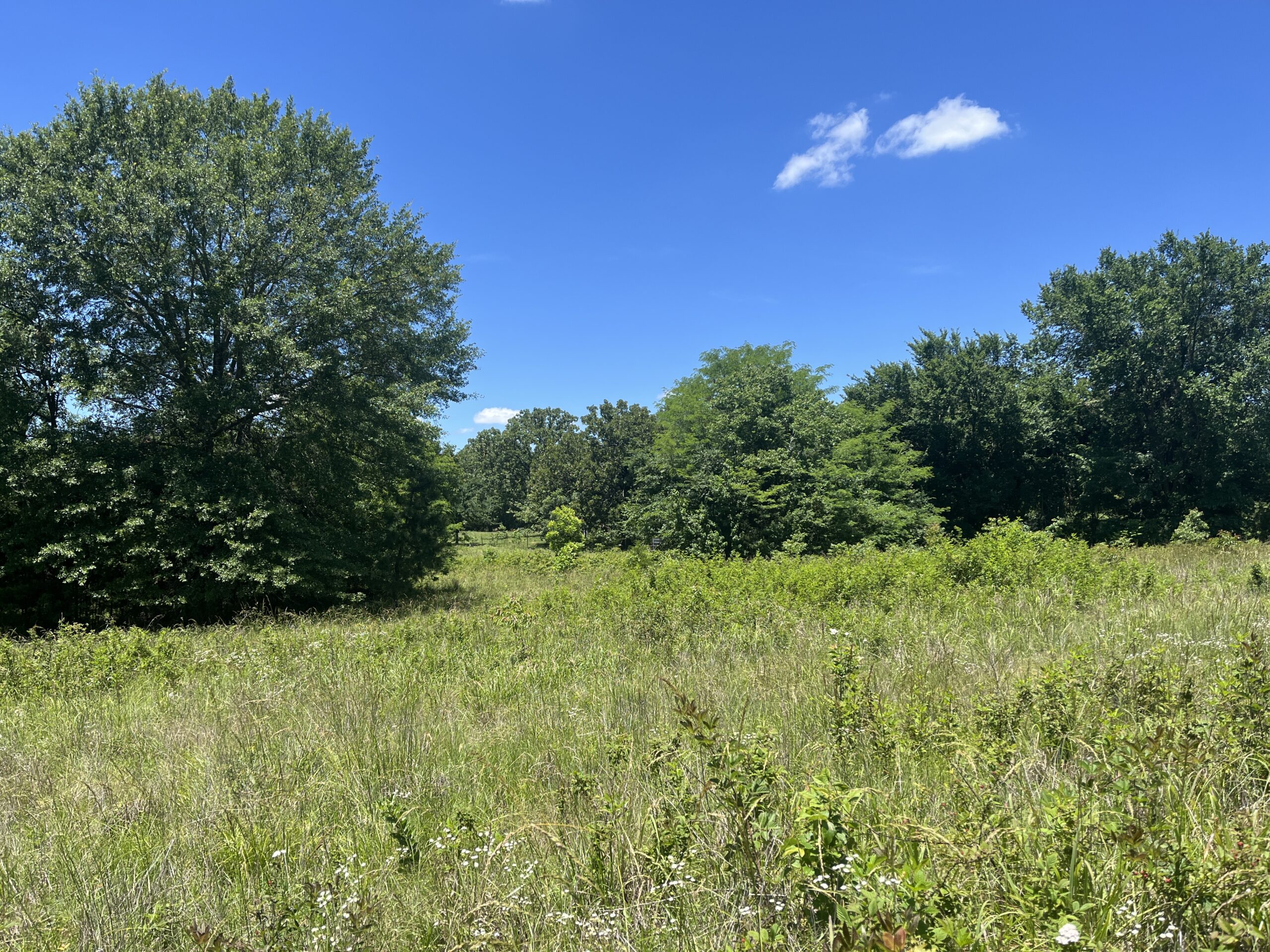 20-Acre Hunter’s Paradise in Southeastern Oklahoma-Prime location & Utilities Ready