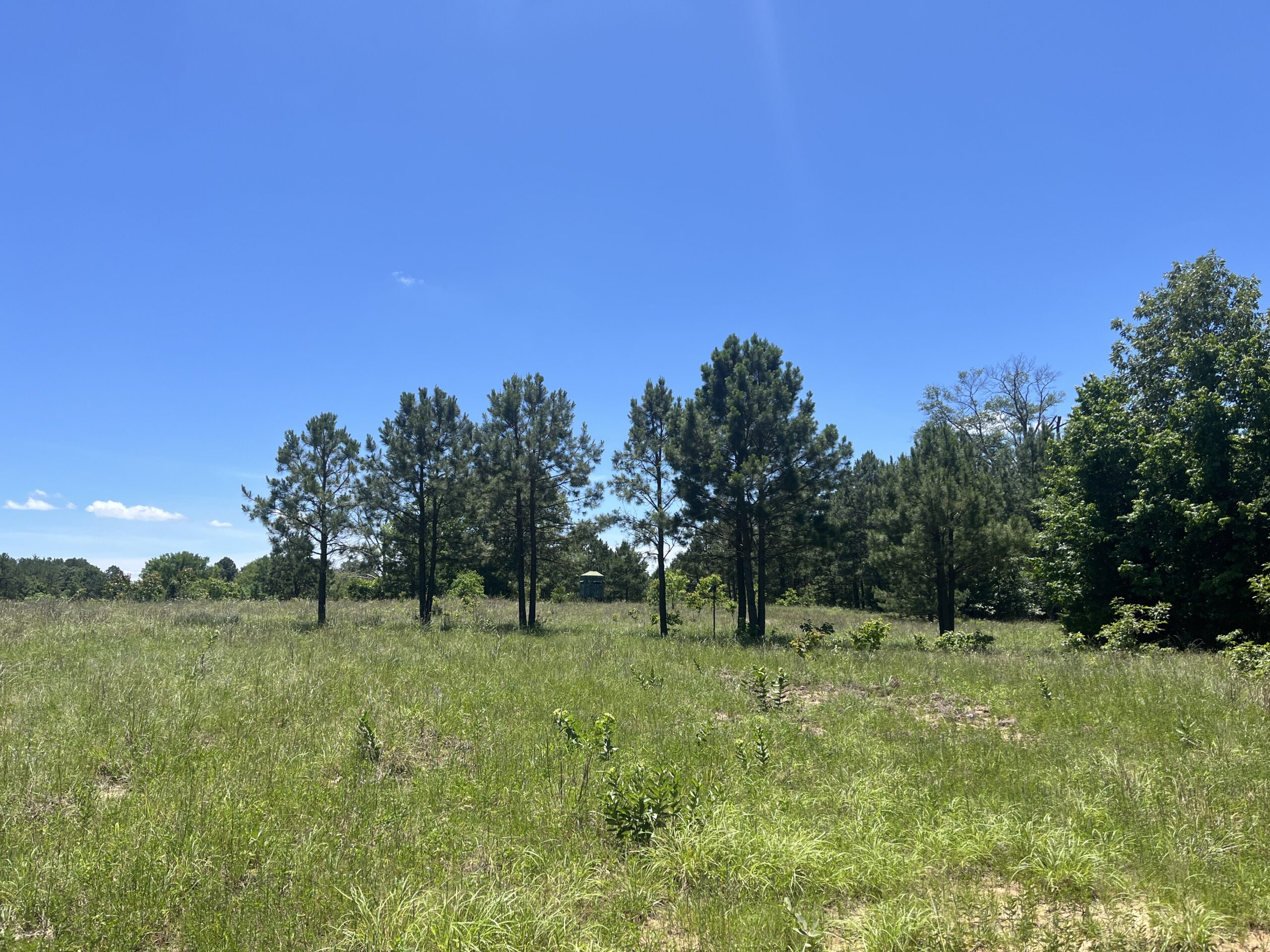 20-Acre Hunter’s Paradise in Southeastern Oklahoma-Prime location & Utilities Ready