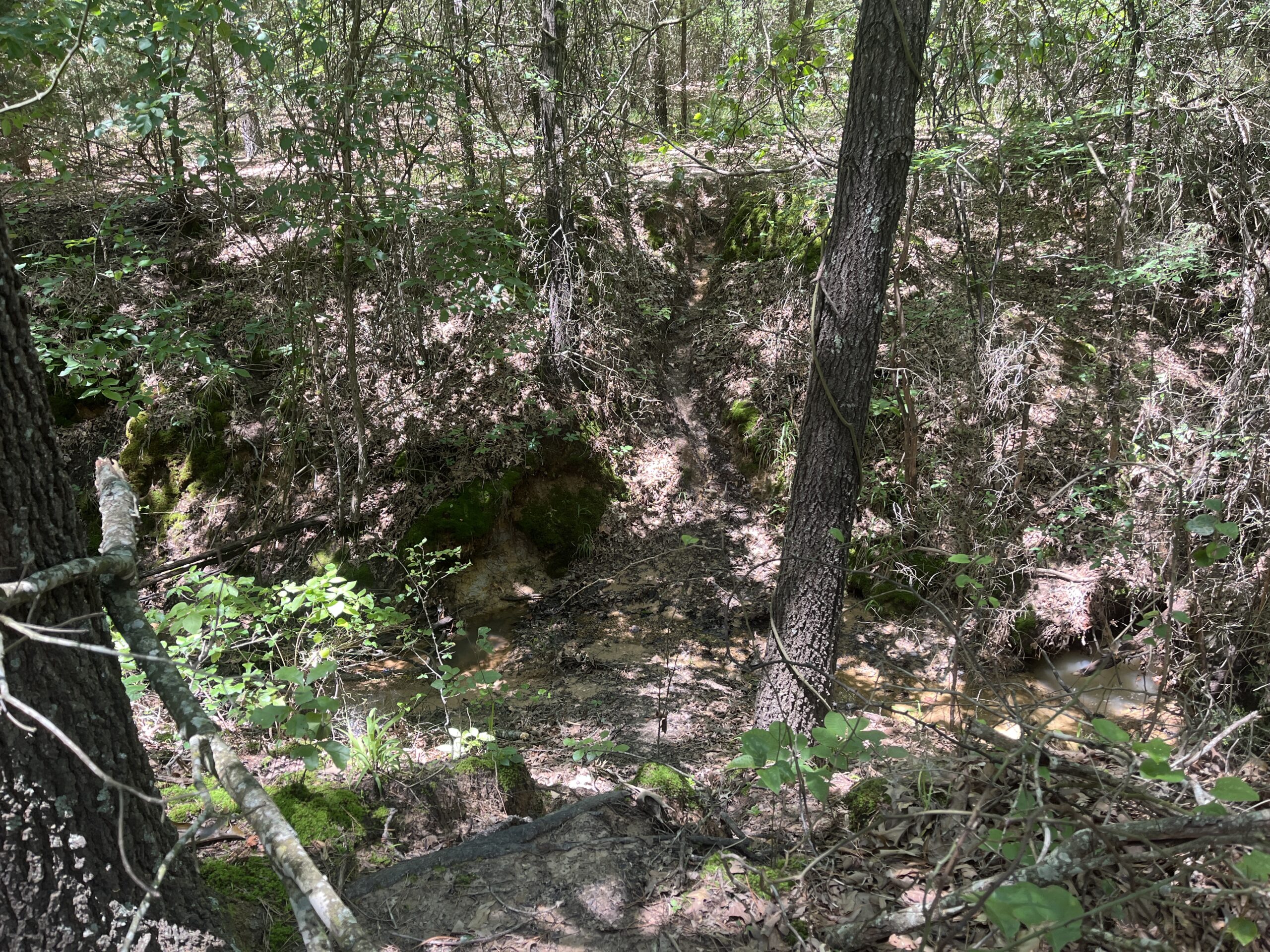20-Acre Hunter’s Paradise in Southeastern Oklahoma-Prime location & Utilities Ready