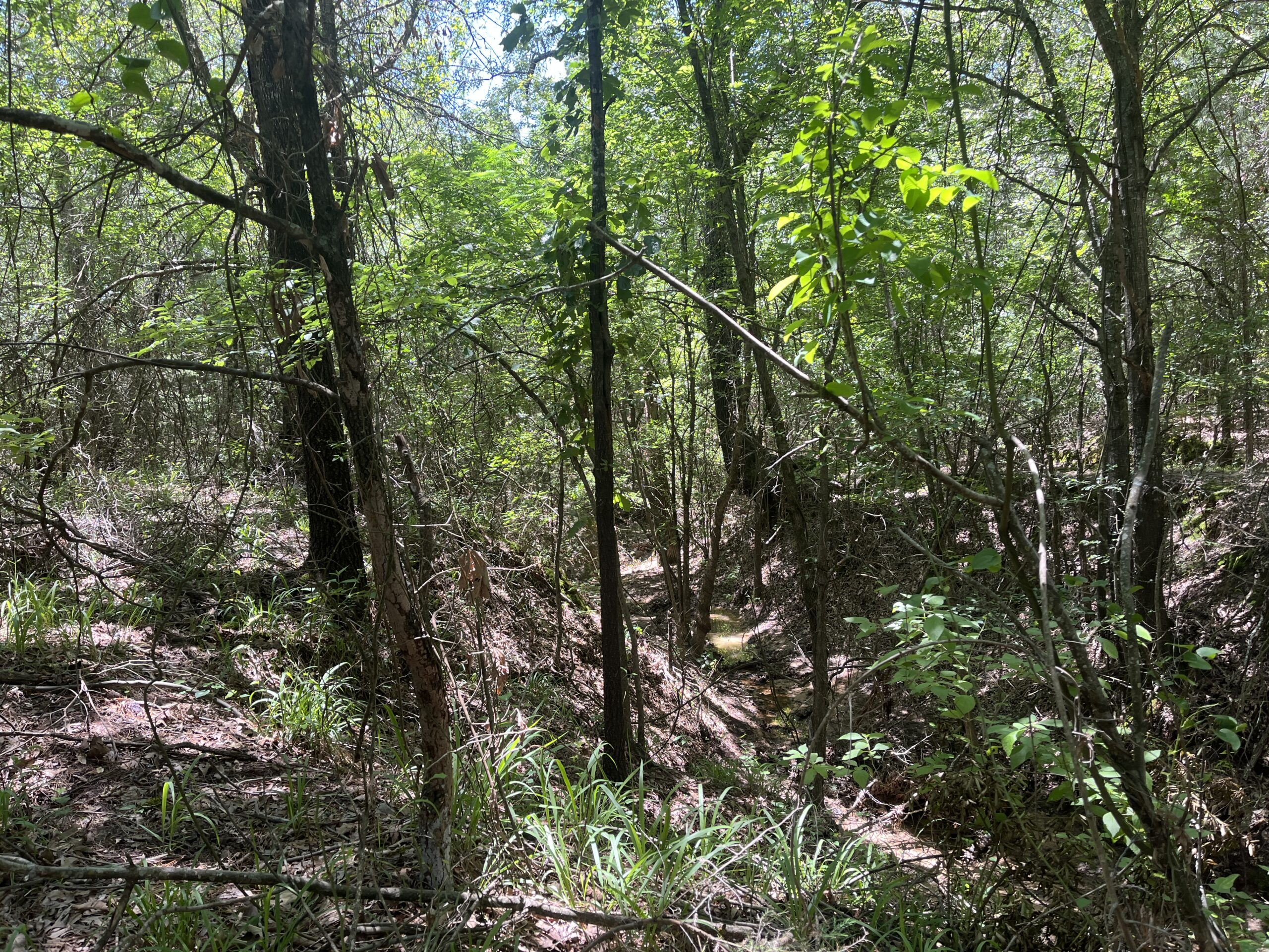 20-Acre Hunter’s Paradise in Southeastern Oklahoma-Prime location & Utilities Ready