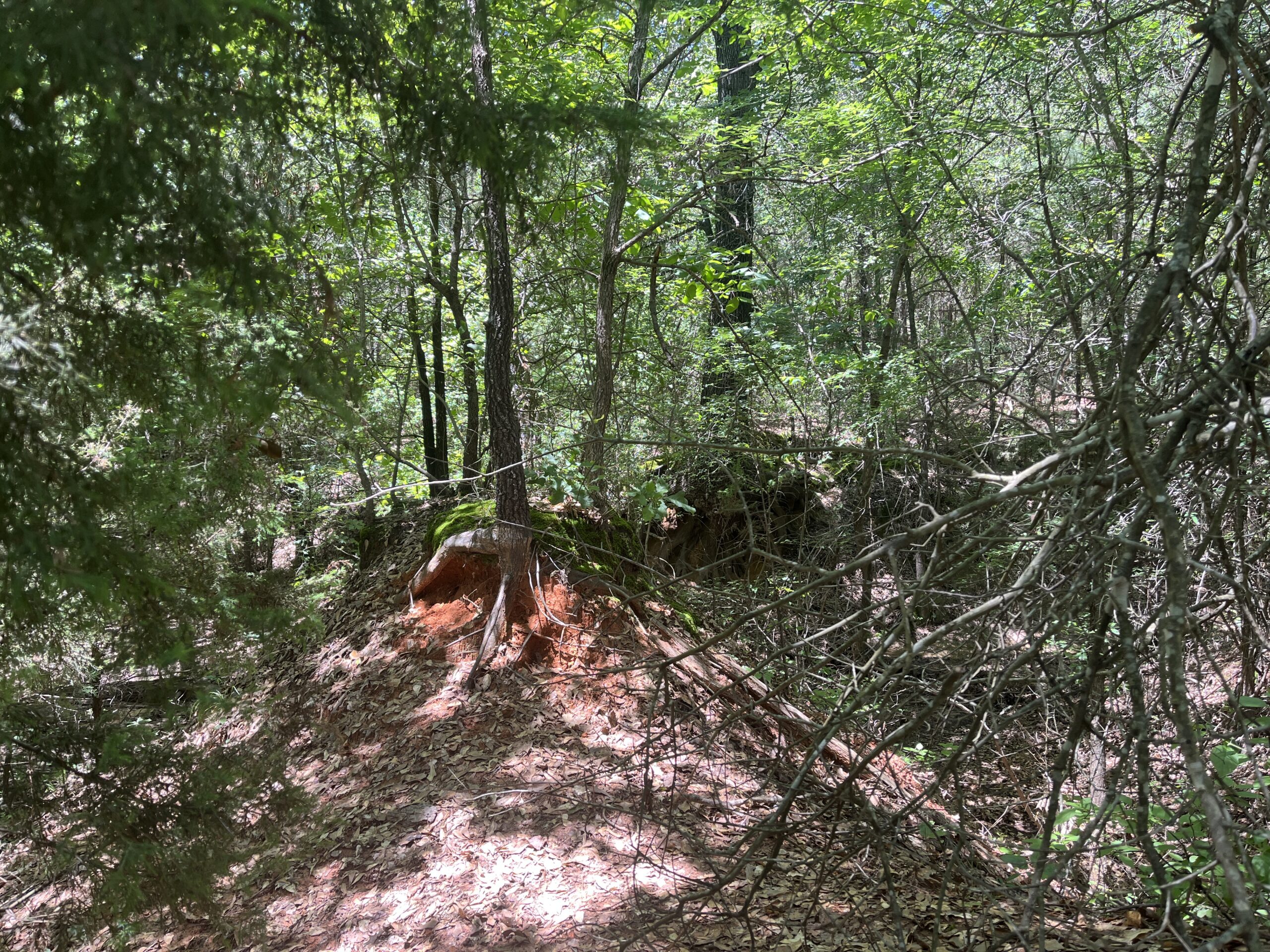 20-Acre Hunter’s Paradise in Southeastern Oklahoma-Prime location & Utilities Ready