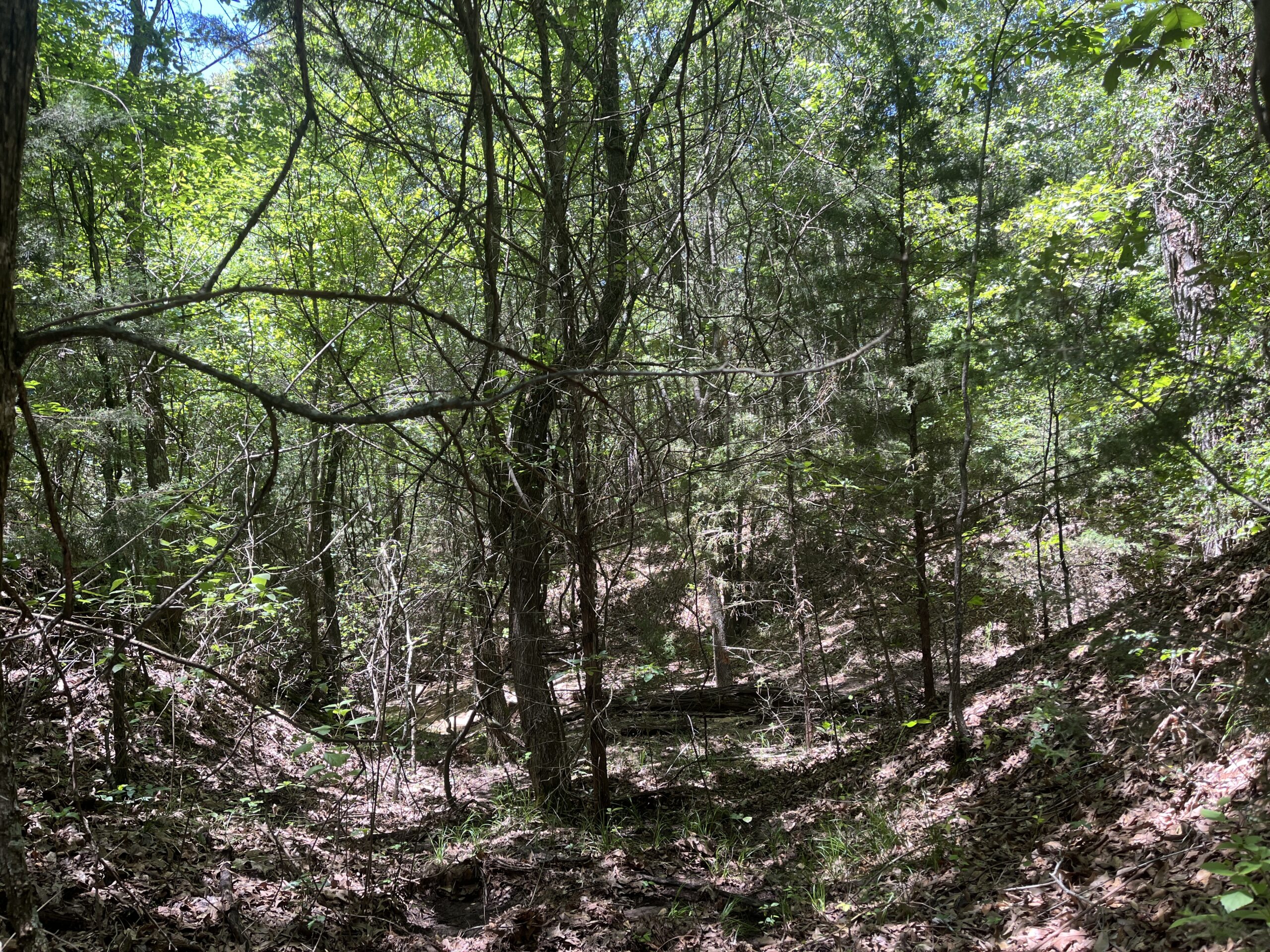 20-Acre Hunter’s Paradise in Southeastern Oklahoma-Prime location & Utilities Ready