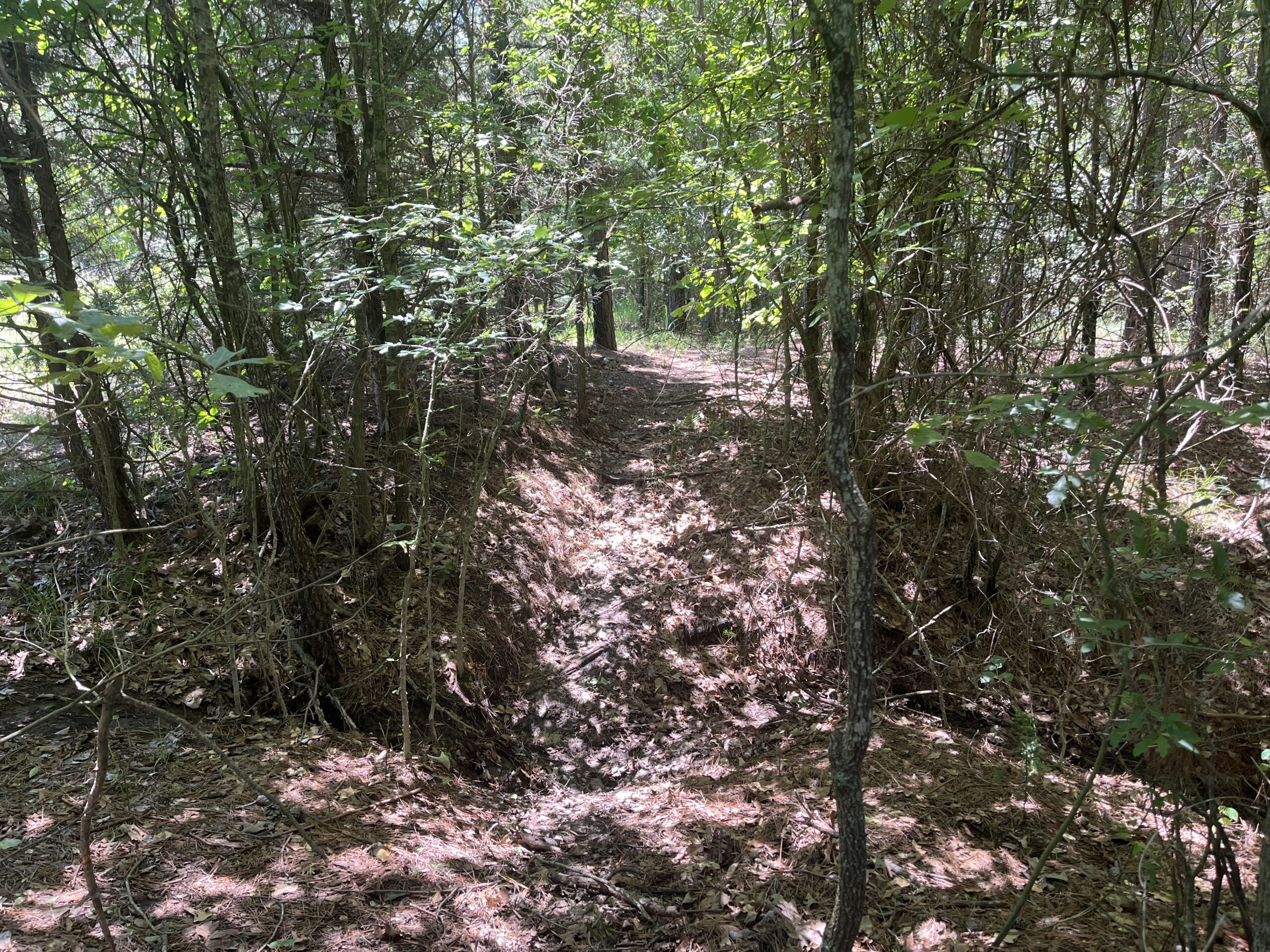 20-Acre Hunter’s Paradise in Southeastern Oklahoma-Prime location & Utilities Ready