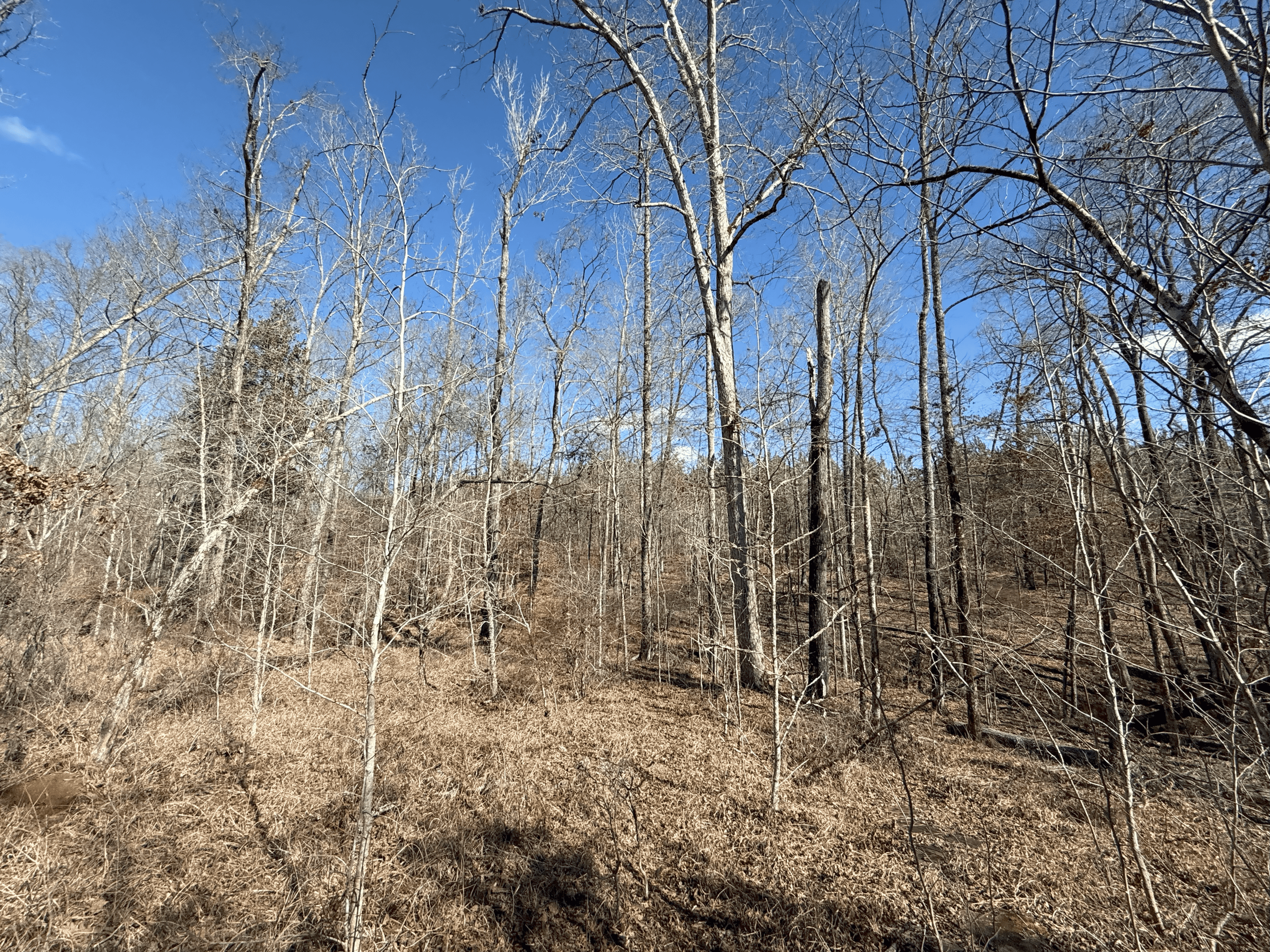 1786 Andrews Road Warrenton, GA 30828
