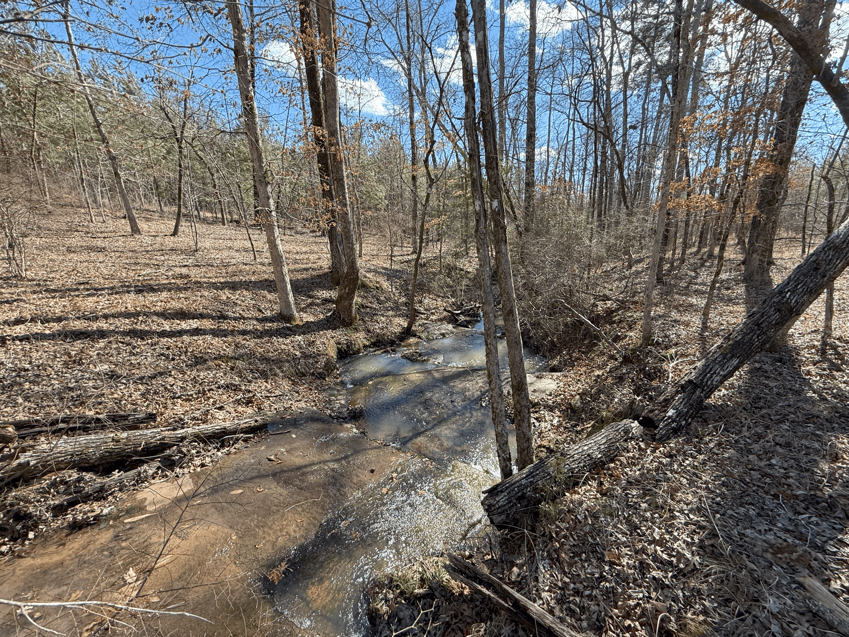 1786 Andrews Road Warrenton, GA 30828
