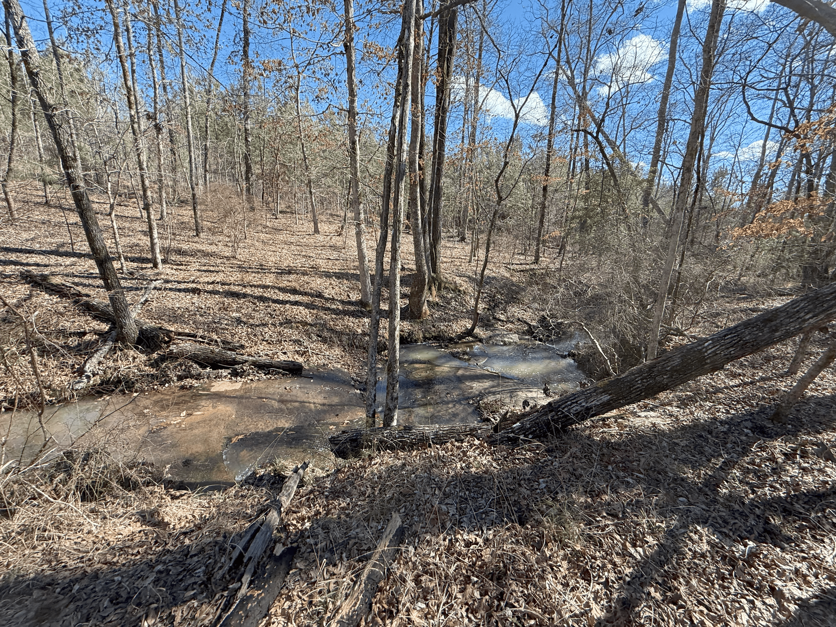 1786 Andrews Road Warrenton, GA 30828