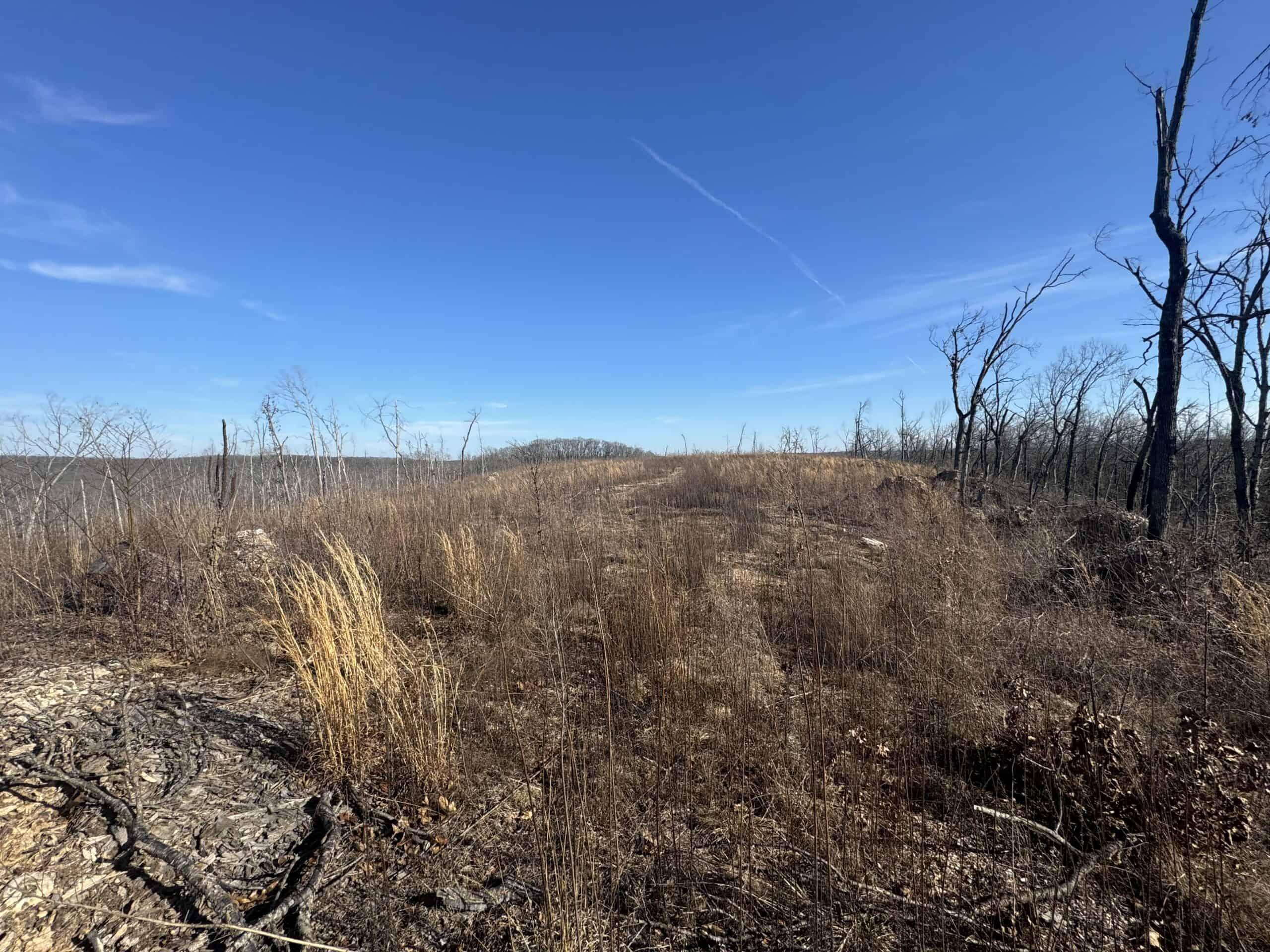 Unimproved Land with Hunting Opportunities near Dixon, MO