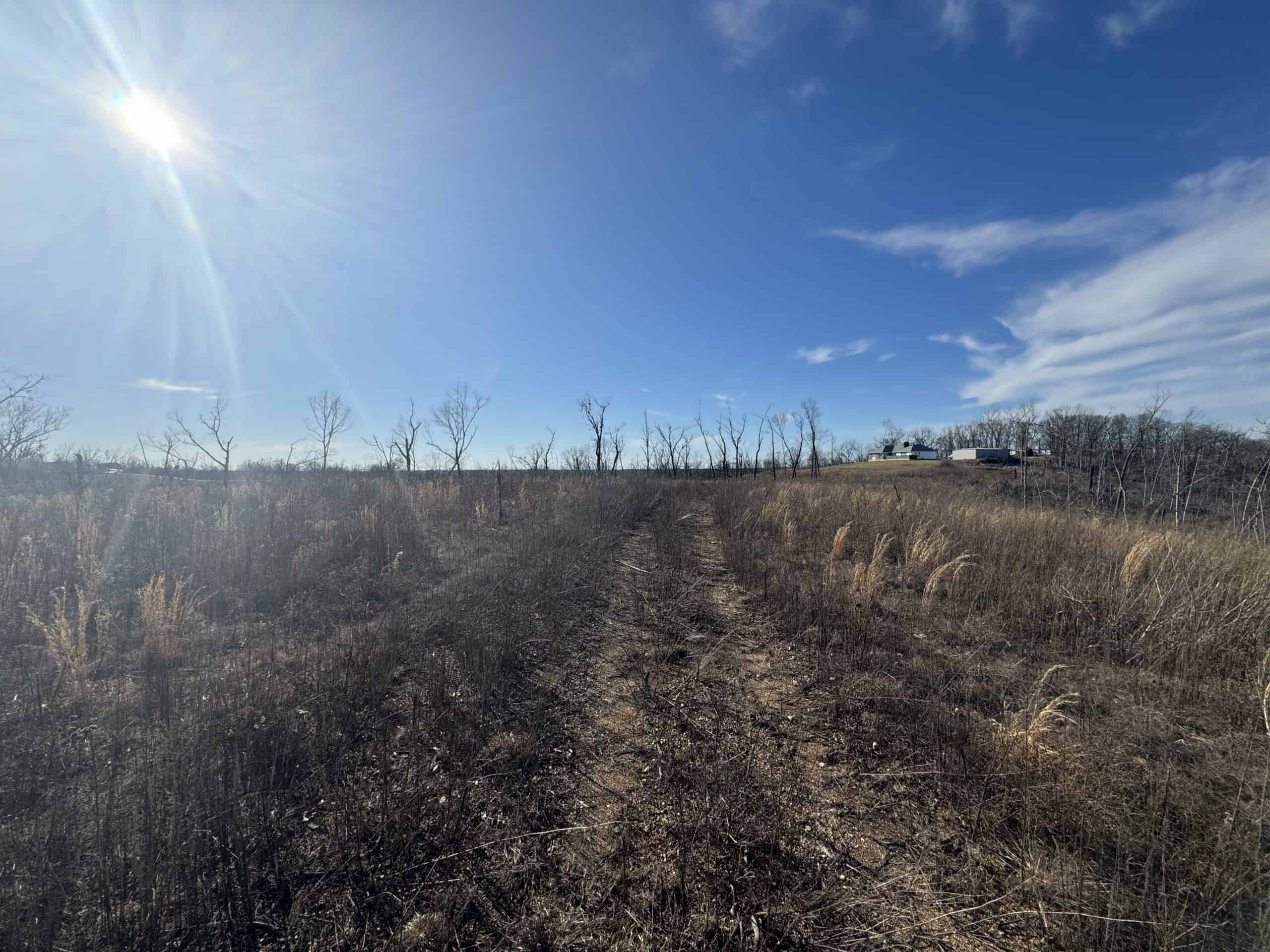Unimproved Land with Hunting Opportunities near Dixon, MO
