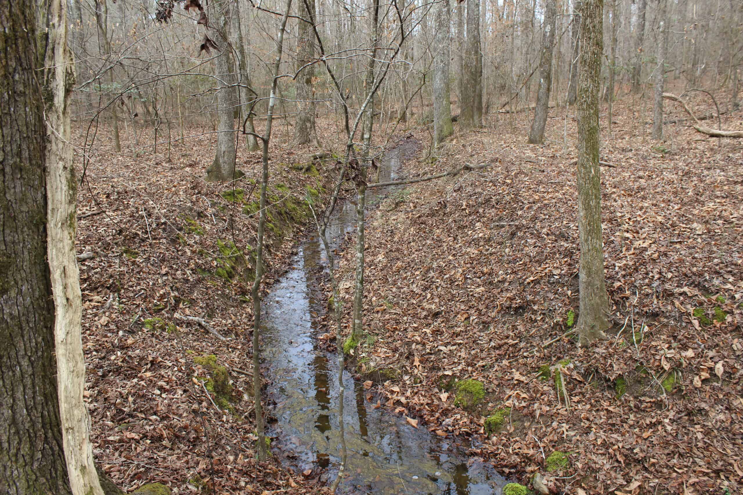 131 Acres of Prime Recreational Land in Loganville, GA – A Hunter’s Paradise & Potential Development Opportunity