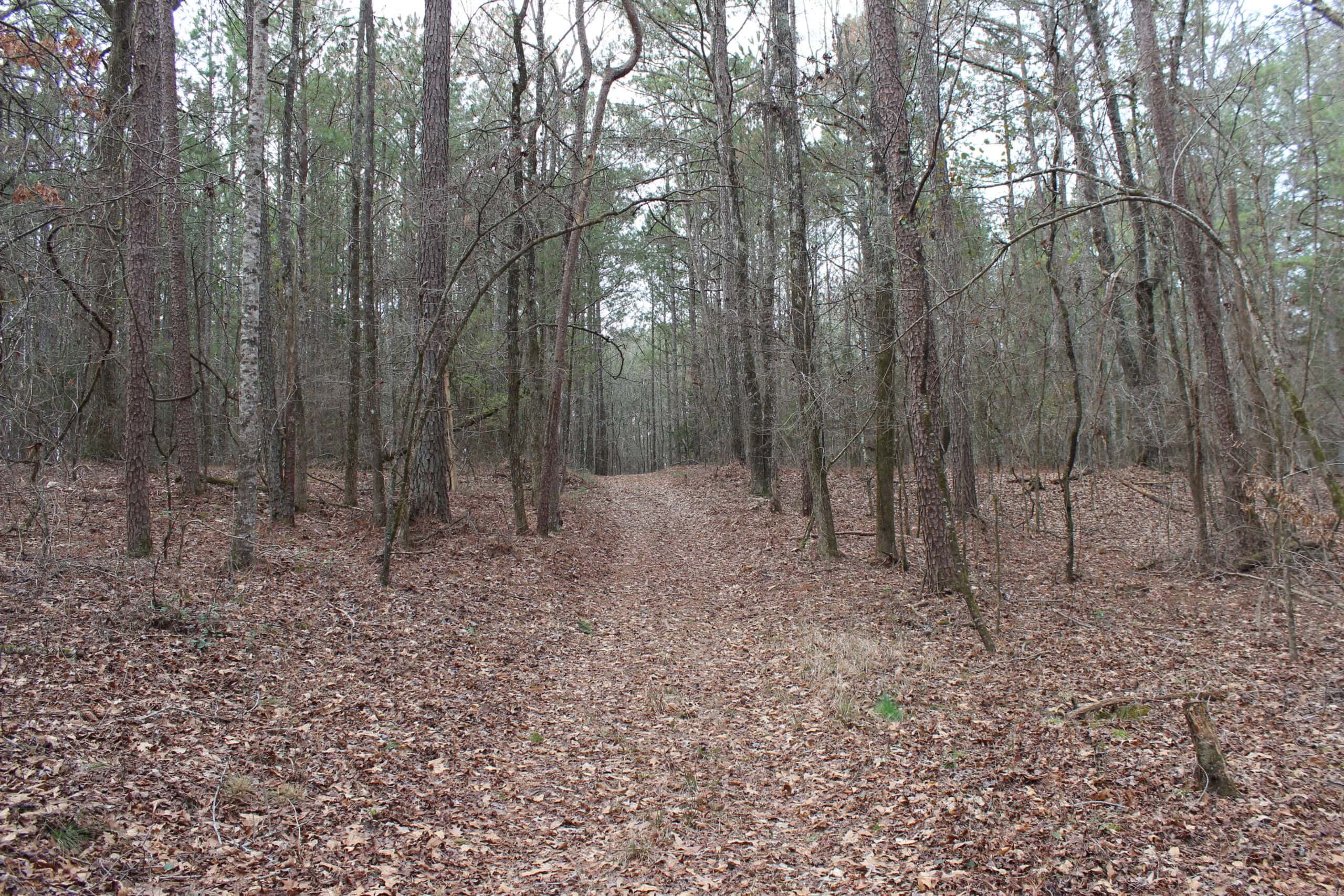 131 Acres of Prime Recreational Land in Loganville, GA – A Hunter’s Paradise & Potential Development Opportunity