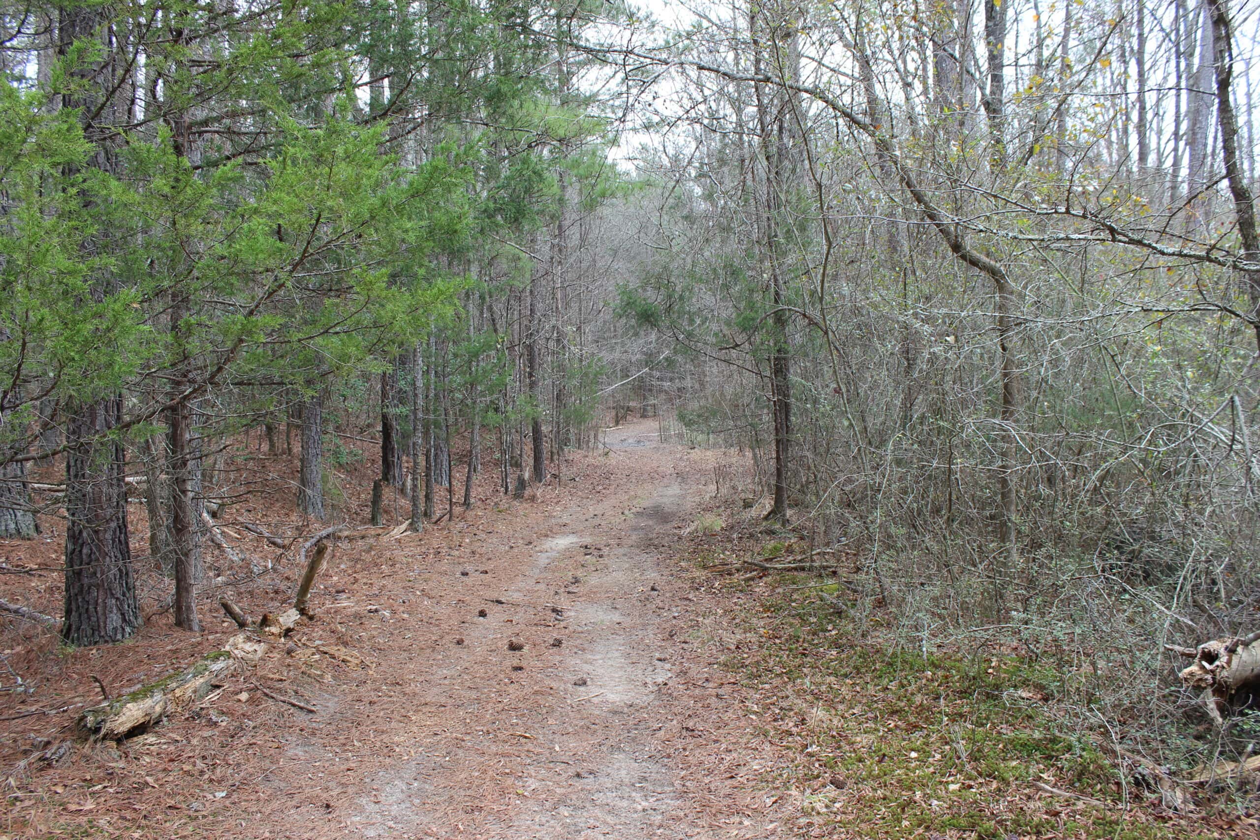 131 Acres of Prime Recreational Land in Loganville, GA – A Hunter’s Paradise & Potential Development Opportunity