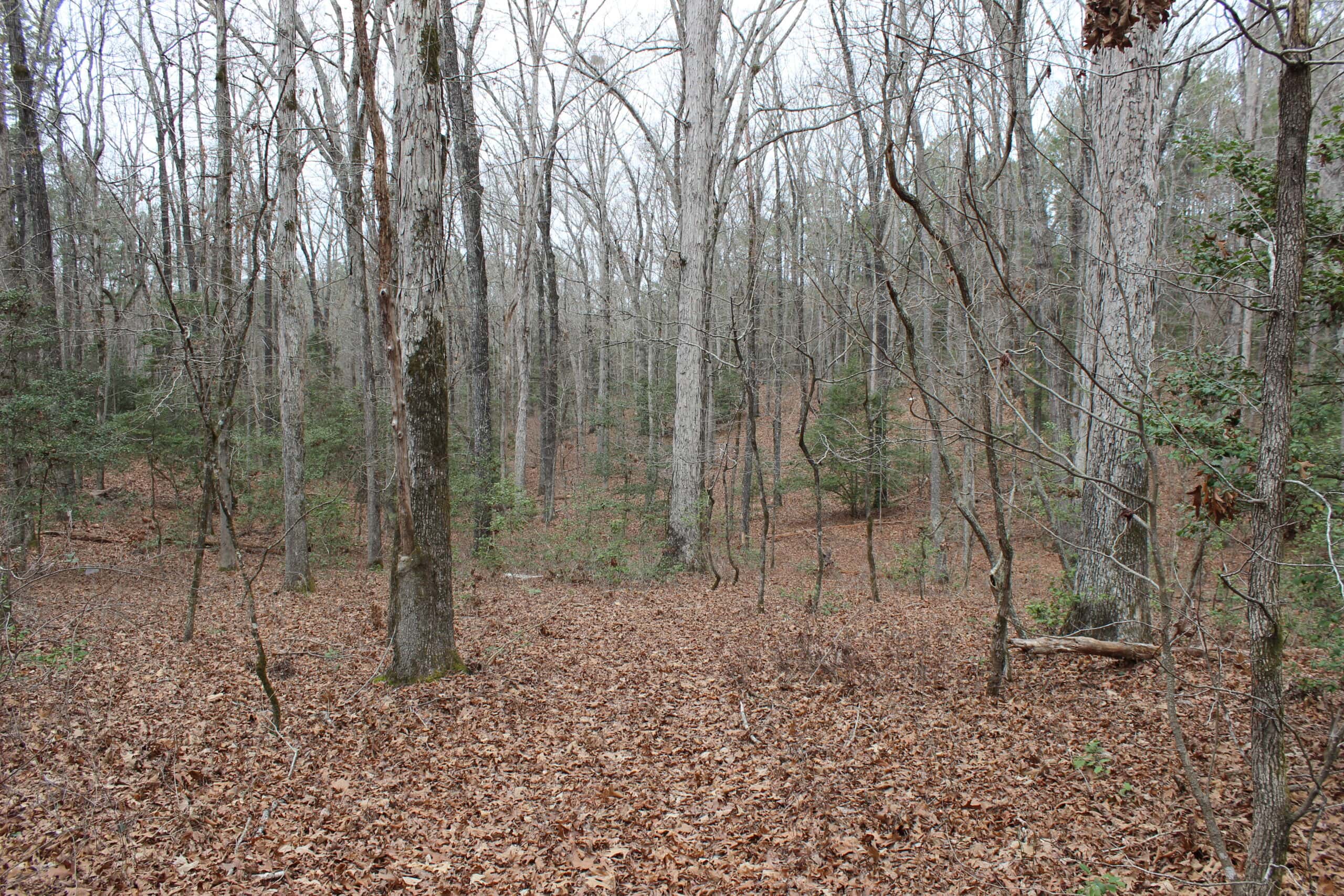 131 Acres of Prime Recreational Land in Loganville, GA – A Hunter’s Paradise & Potential Development Opportunity