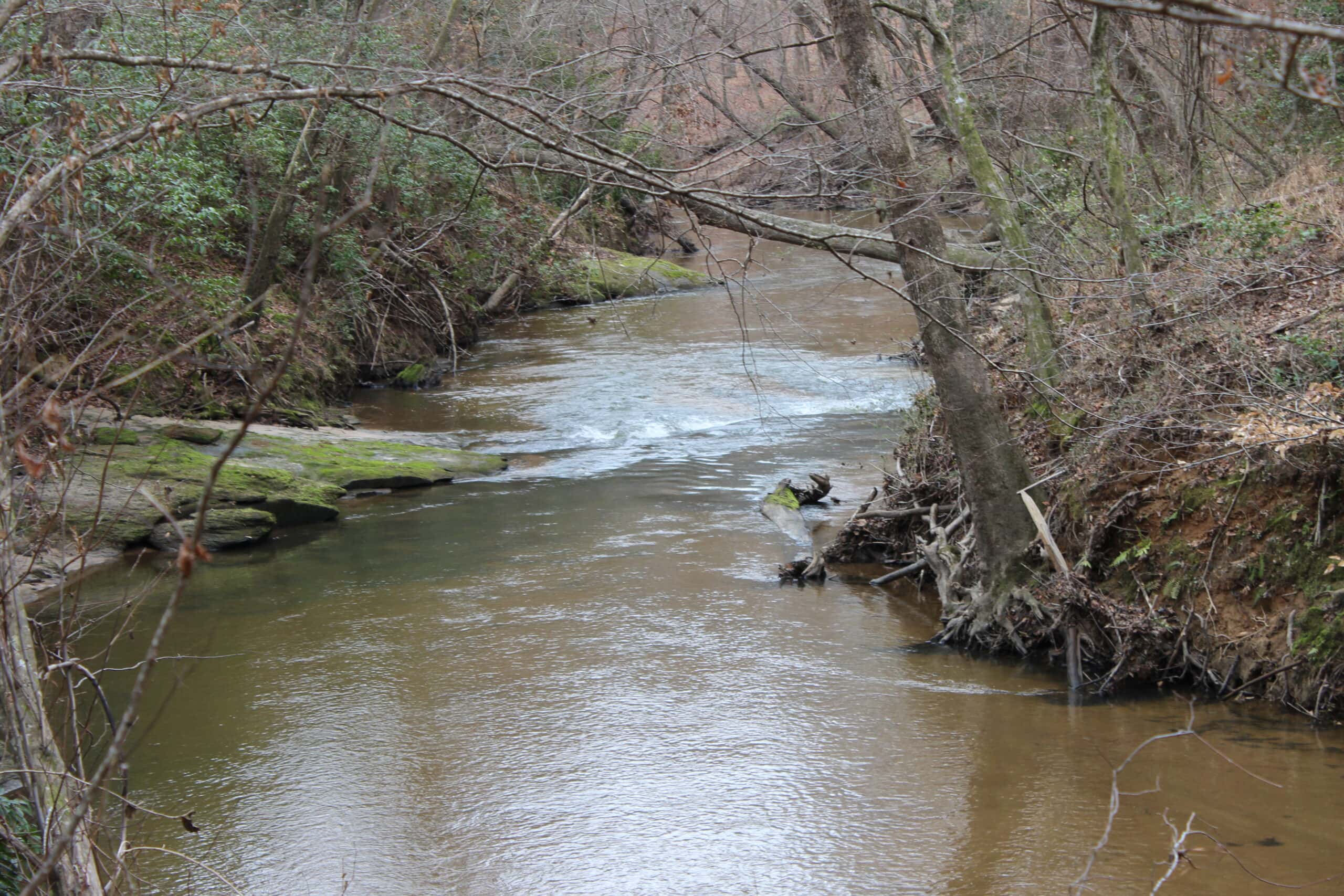 131 Acres of Prime Recreational Land in Loganville, GA – A Hunter’s Paradise & Potential Development Opportunity