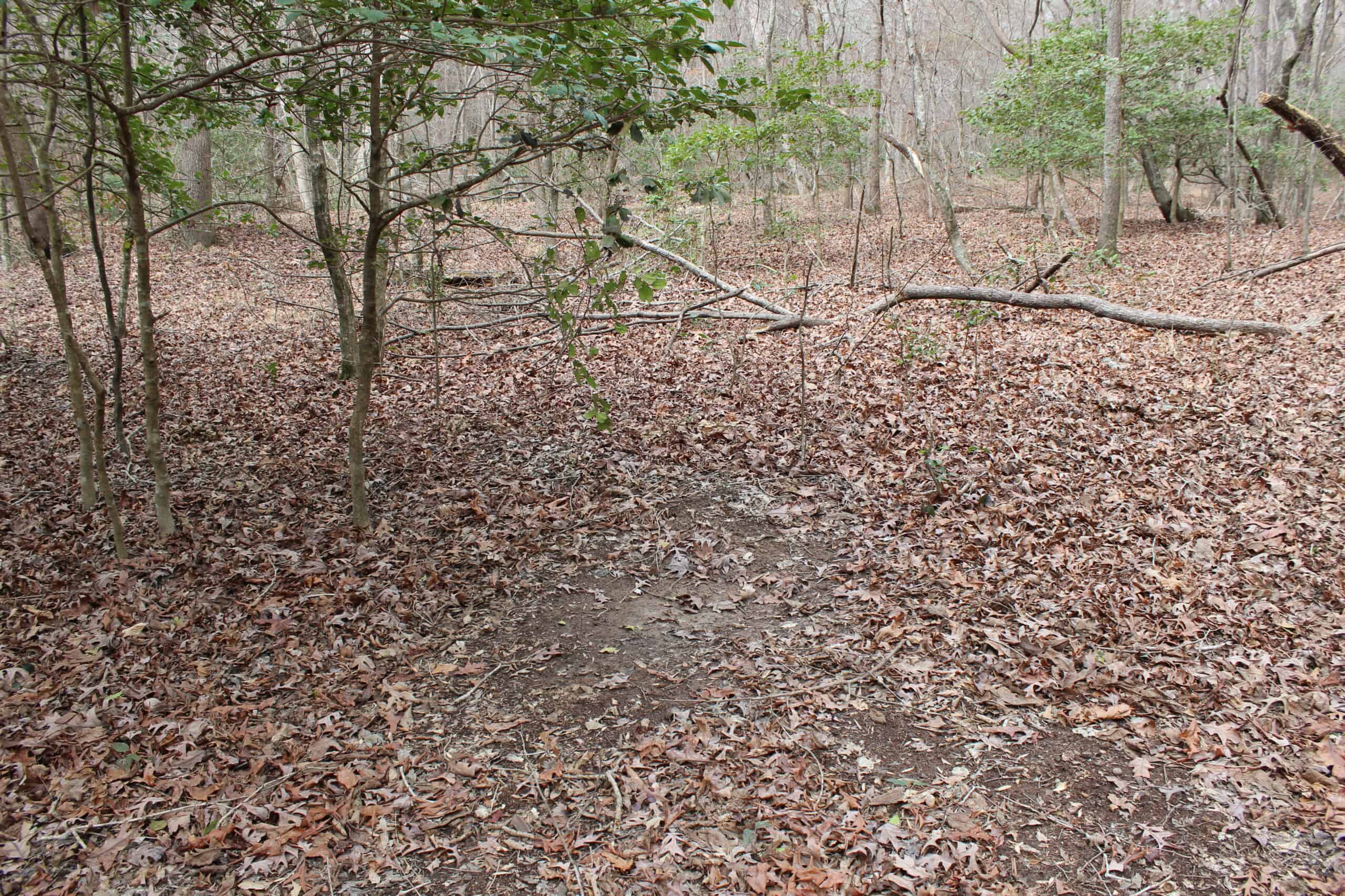 131 Acres of Prime Recreational Land in Loganville, GA – A Hunter’s Paradise & Potential Development Opportunity