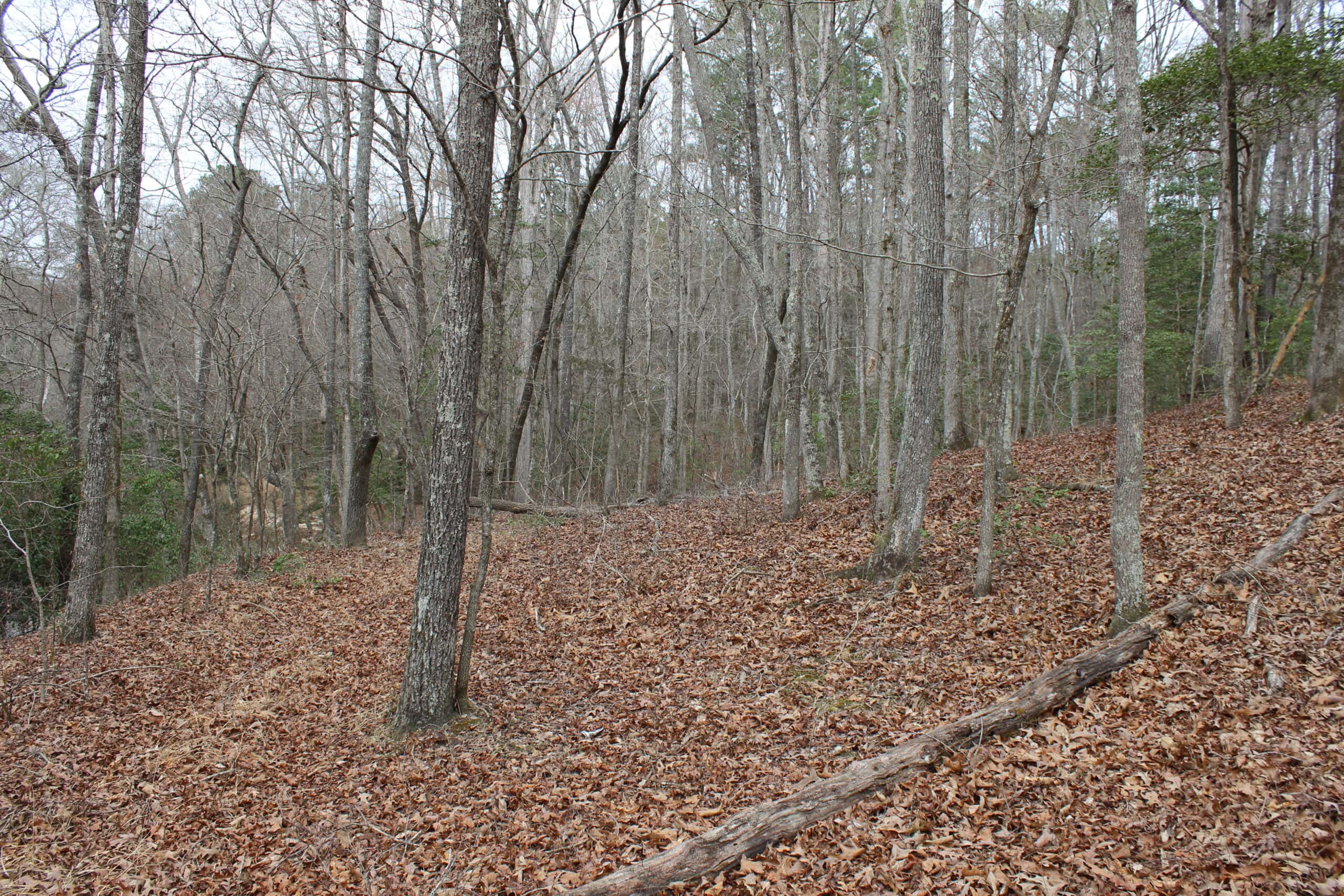 131 Acres of Prime Recreational Land in Loganville, GA – A Hunter’s Paradise & Potential Development Opportunity