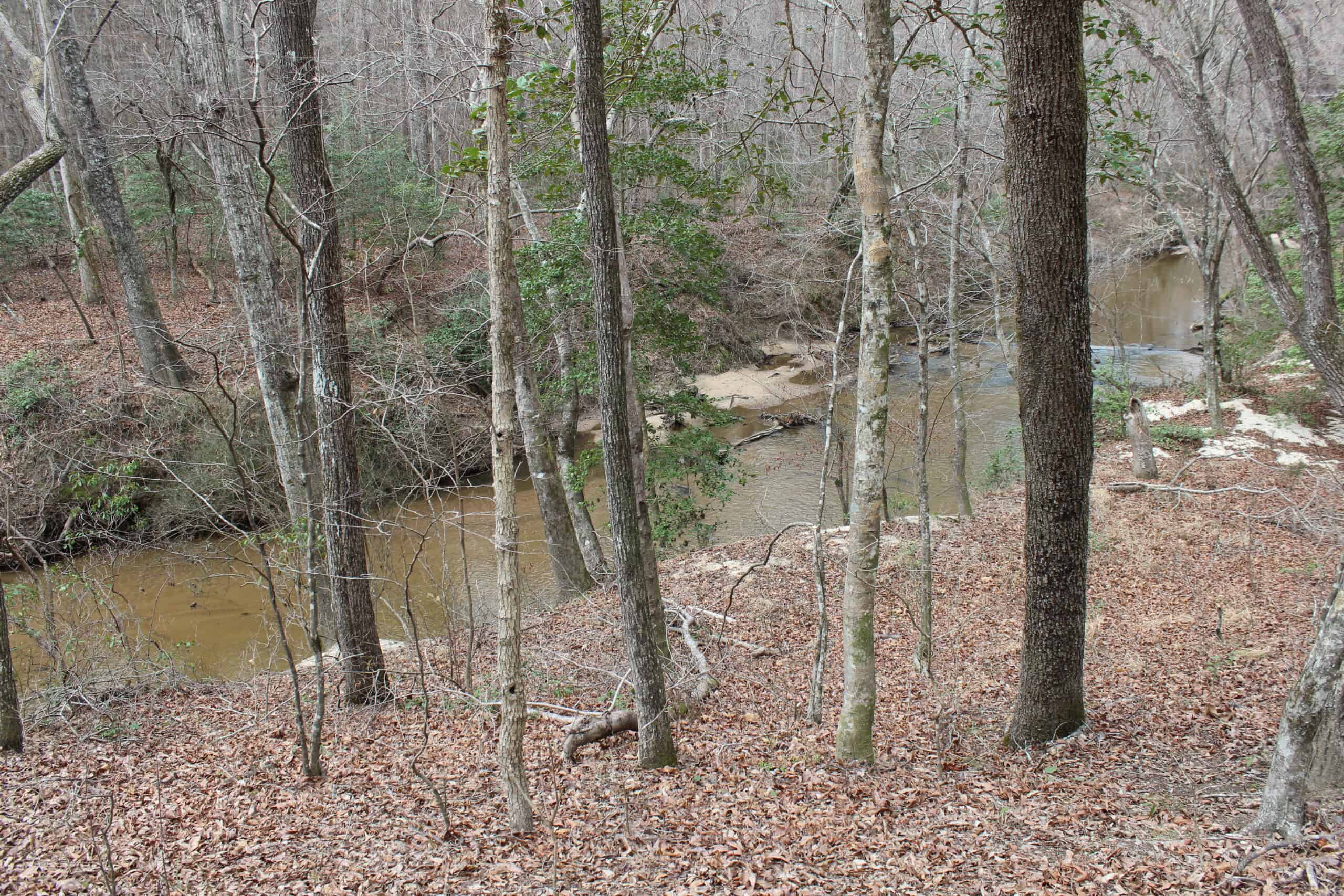 131 Acres of Prime Recreational Land in Loganville, GA – A Hunter’s Paradise & Potential Development Opportunity