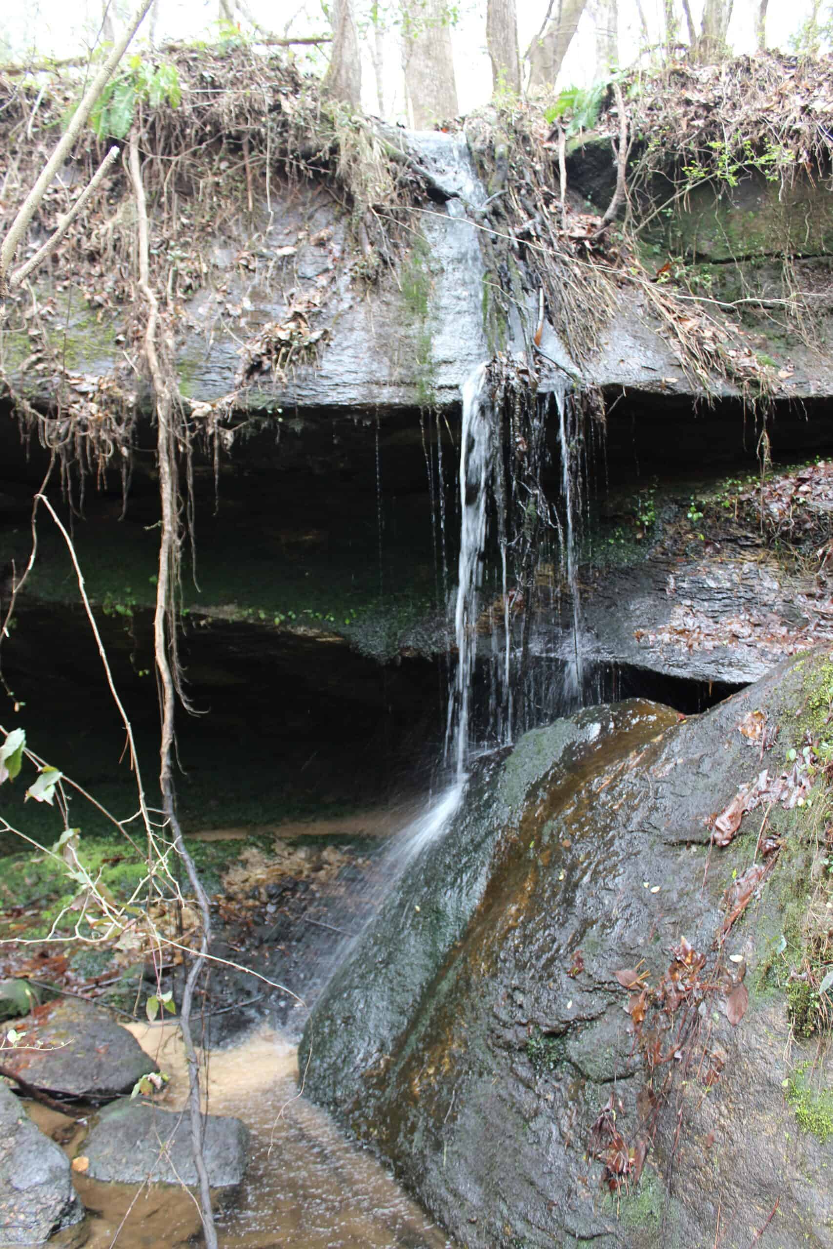 131 Acres of Prime Recreational Land in Loganville, GA – A Hunter’s Paradise & Potential Development Opportunity
