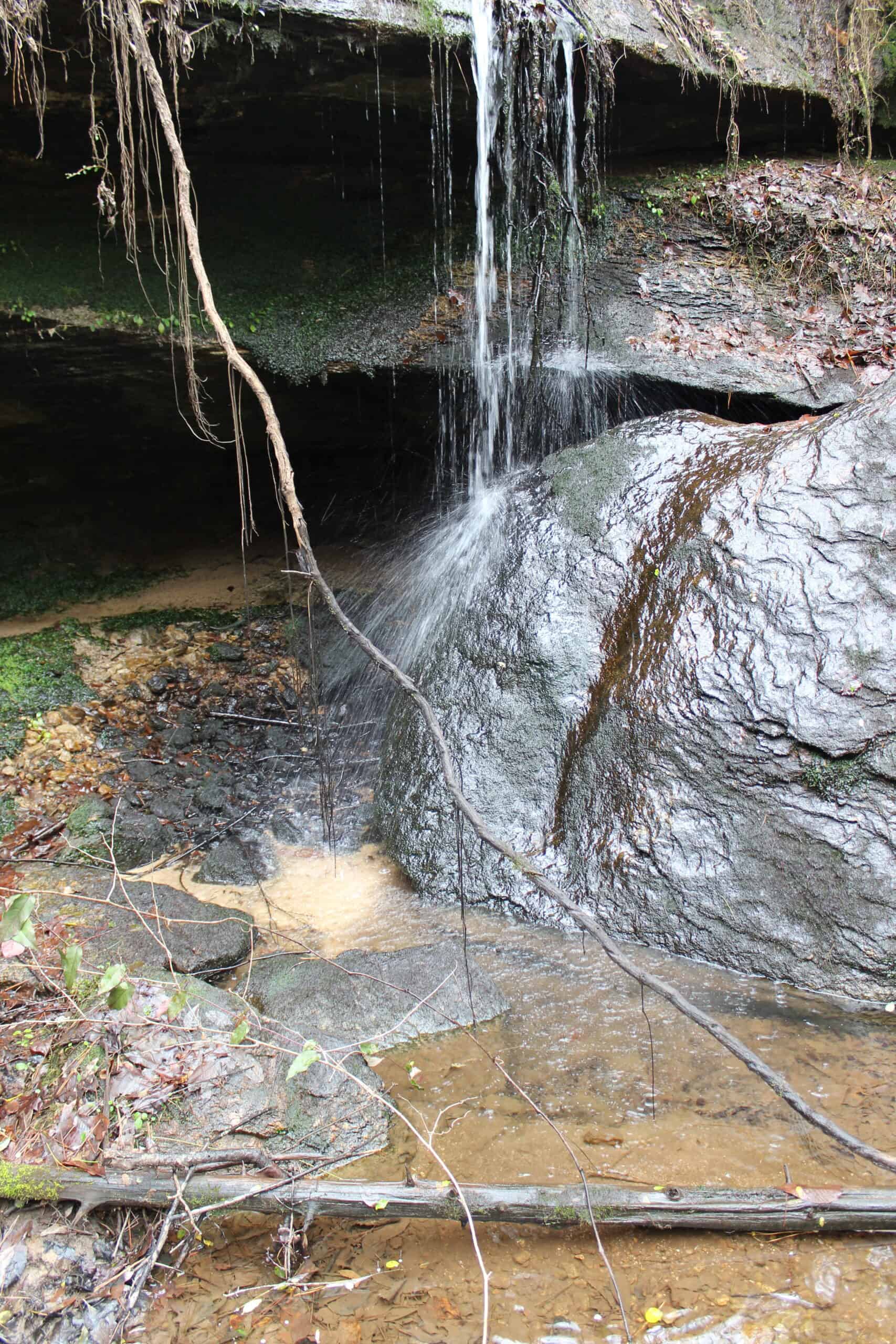 131 Acres of Prime Recreational Land in Loganville, GA – A Hunter’s Paradise & Potential Development Opportunity