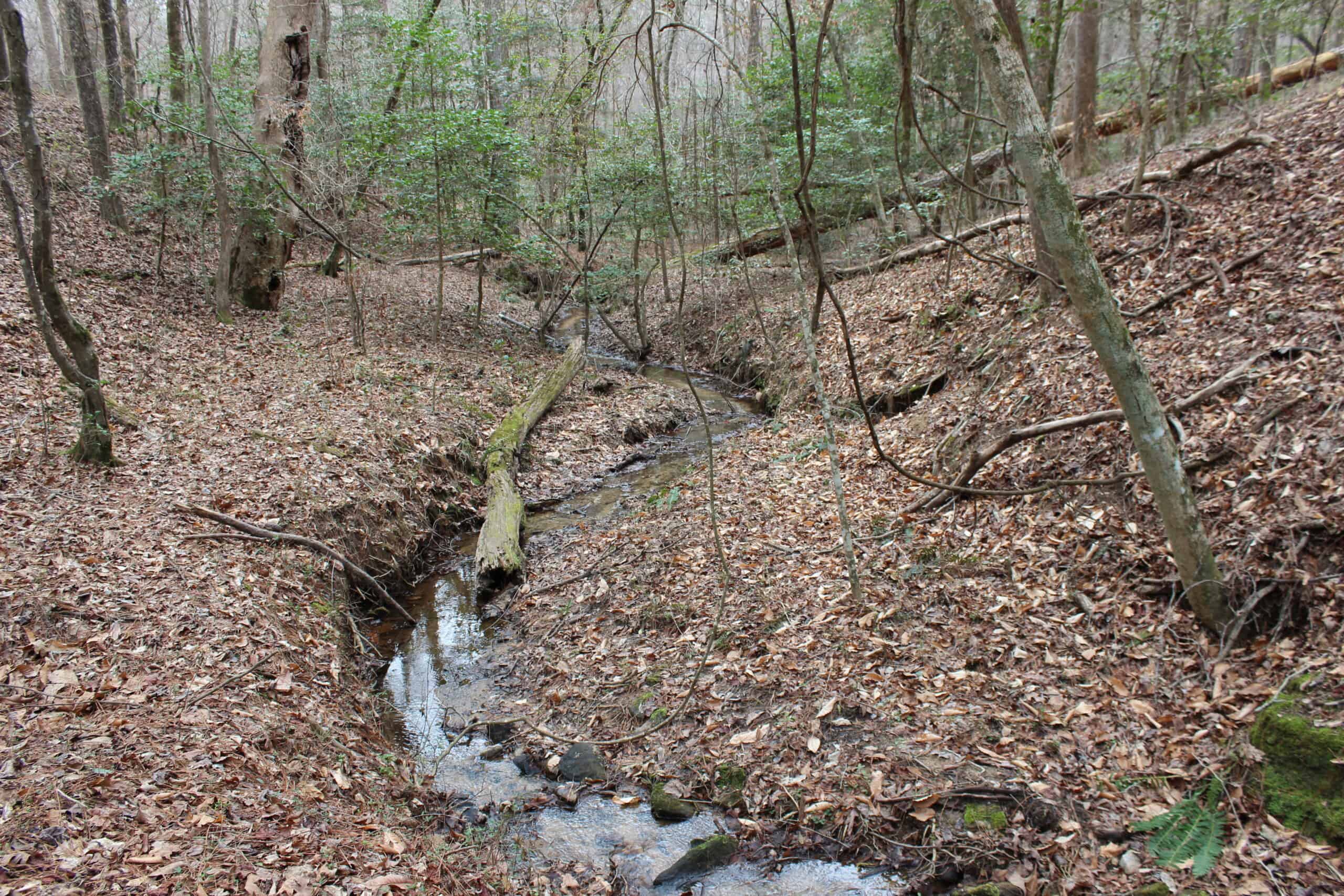 131 Acres of Prime Recreational Land in Loganville, GA – A Hunter’s Paradise & Potential Development Opportunity