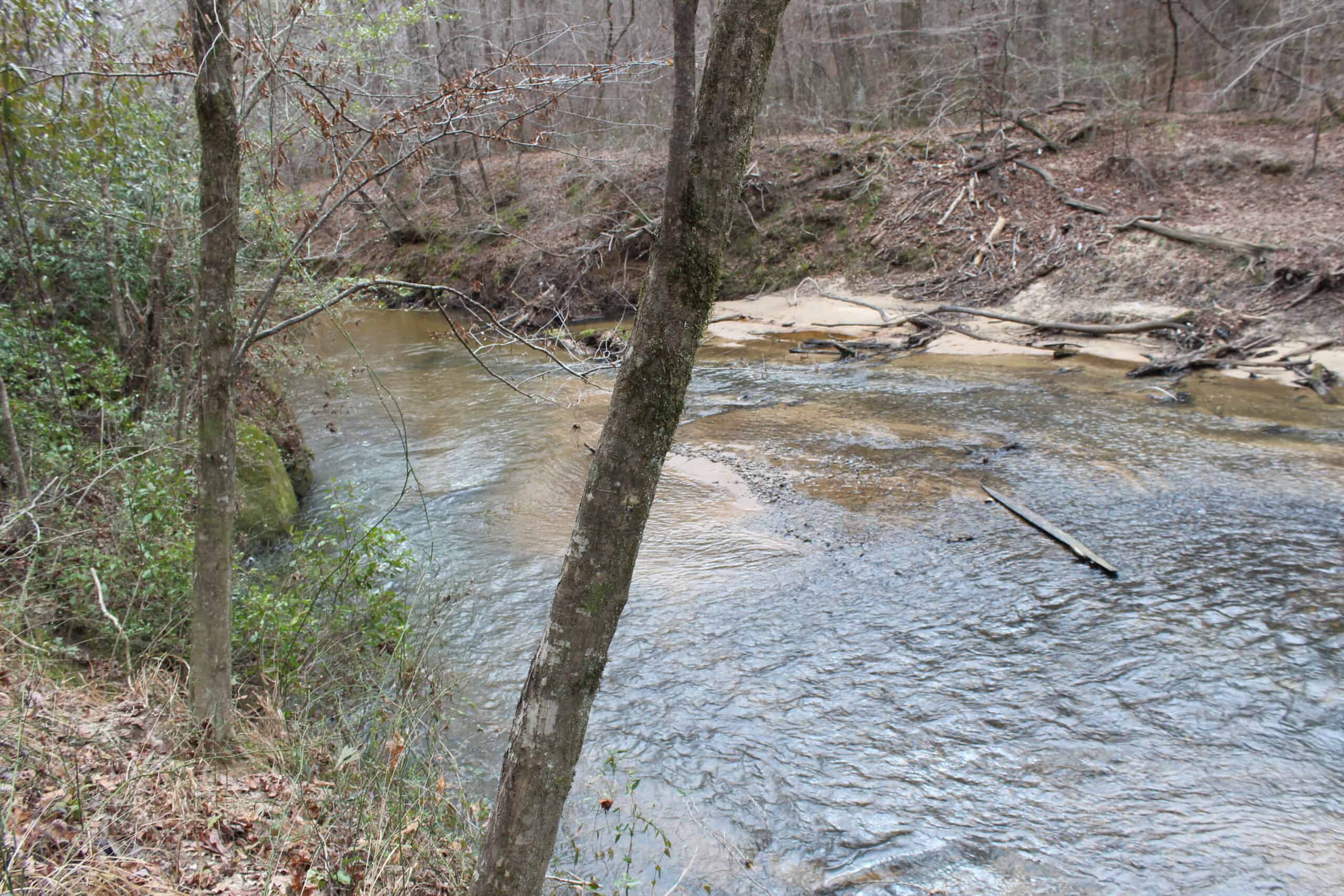 131 Acres of Prime Recreational Land in Loganville, GA – A Hunter’s Paradise & Potential Development Opportunity
