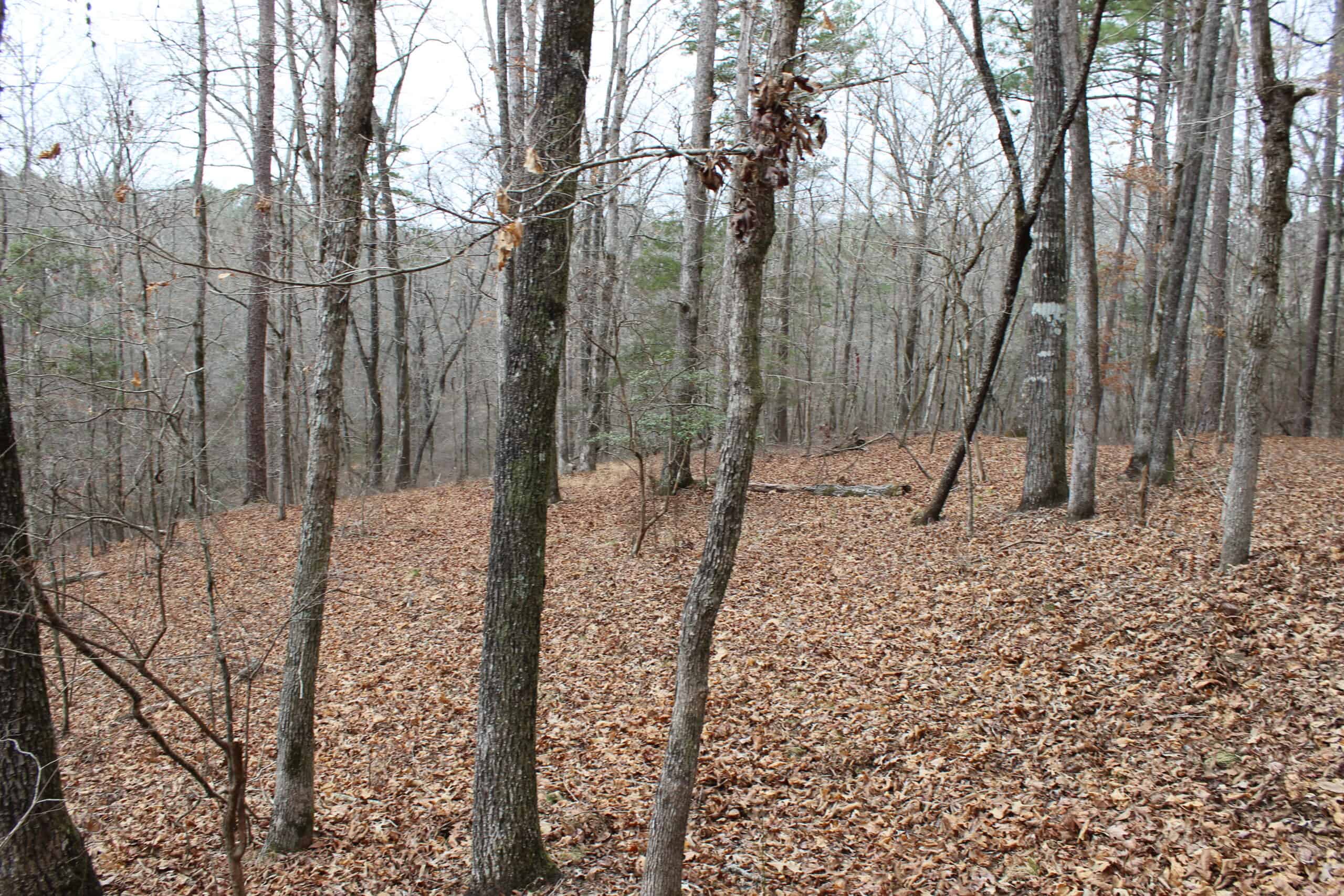131 Acres of Prime Recreational Land in Loganville, GA – A Hunter’s Paradise & Potential Development Opportunity