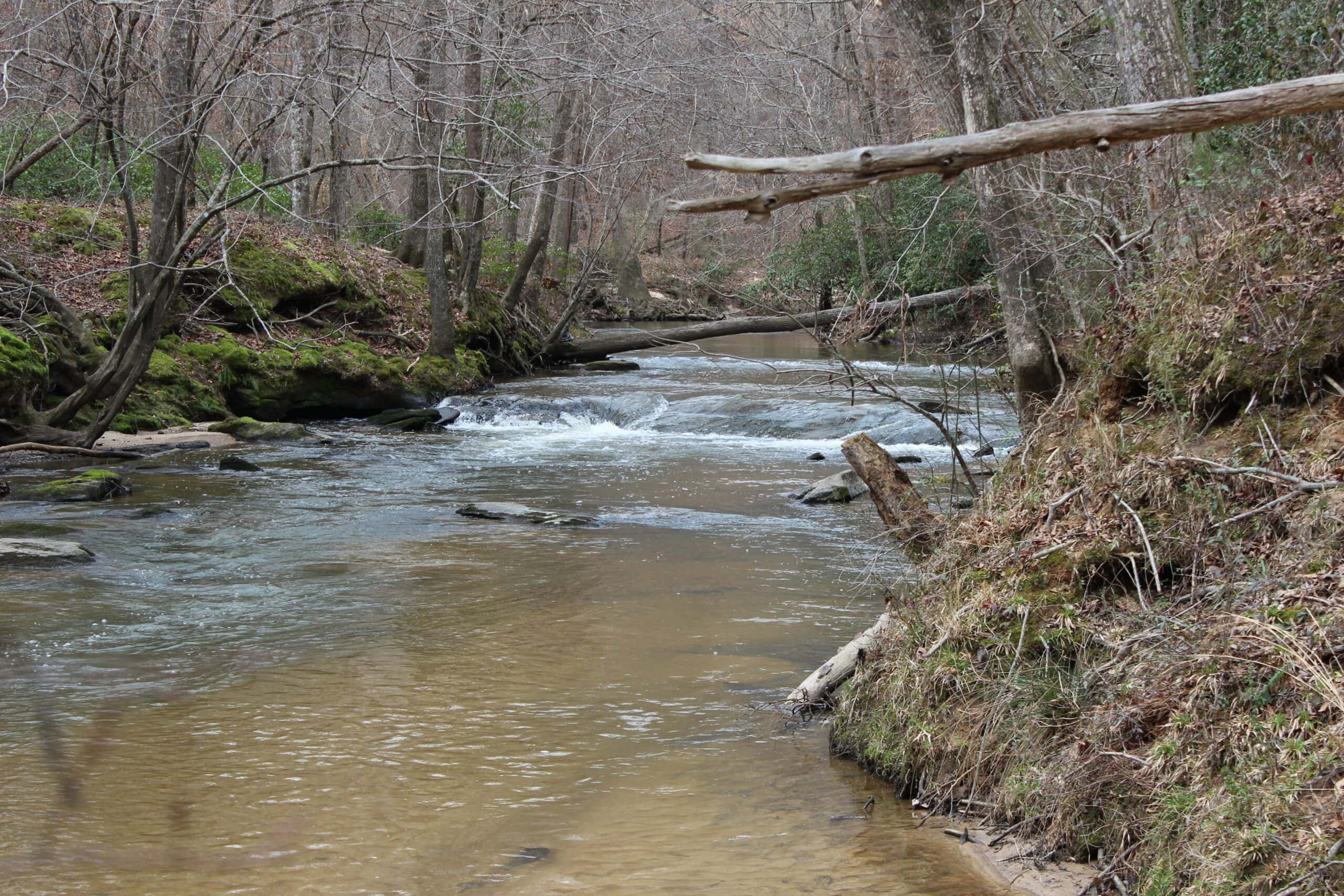 131 Acres of Prime Recreational Land in Loganville, GA – A Hunter’s Paradise & Potential Development Opportunity