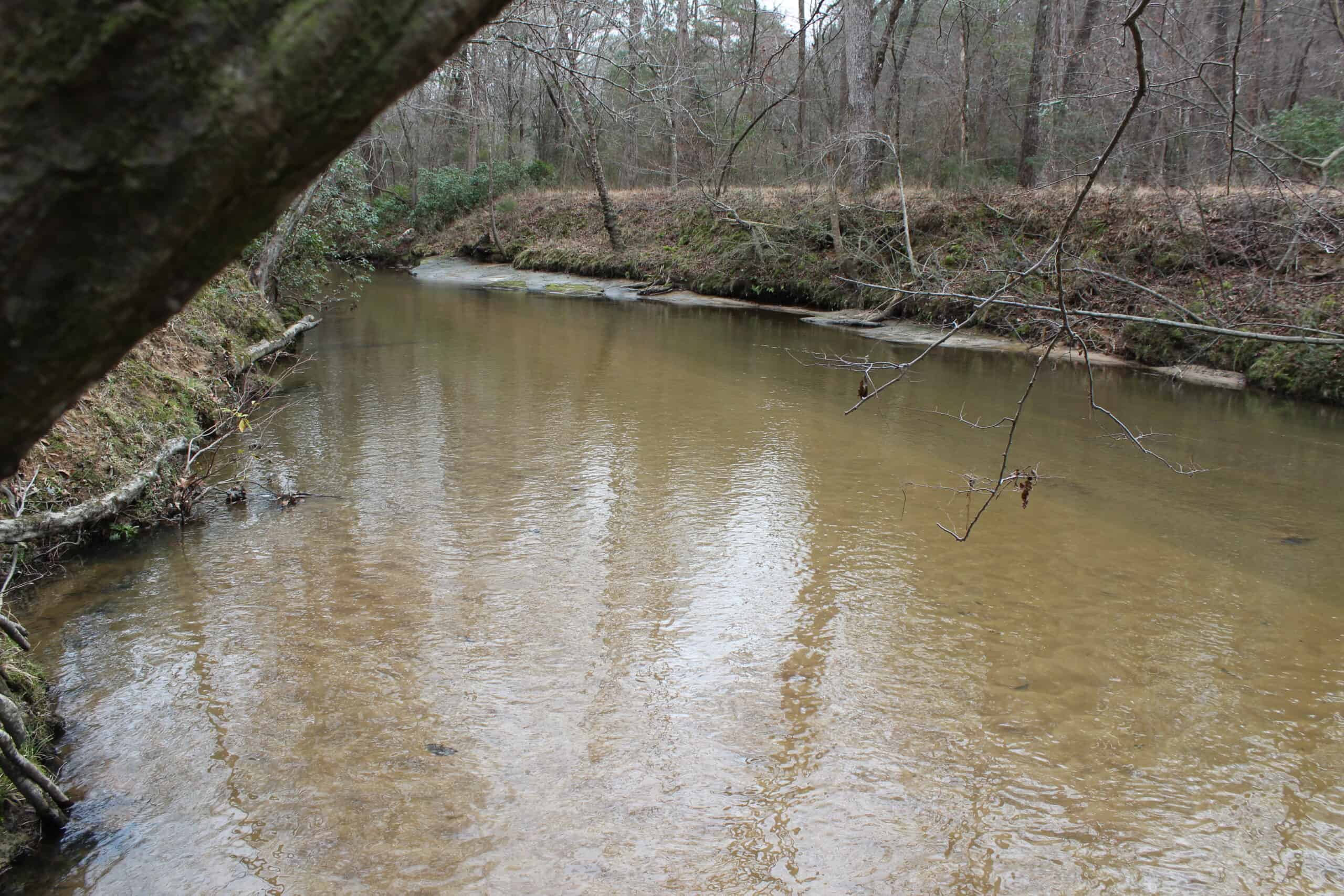 131 Acres of Prime Recreational Land in Loganville, GA – A Hunter’s Paradise & Potential Development Opportunity