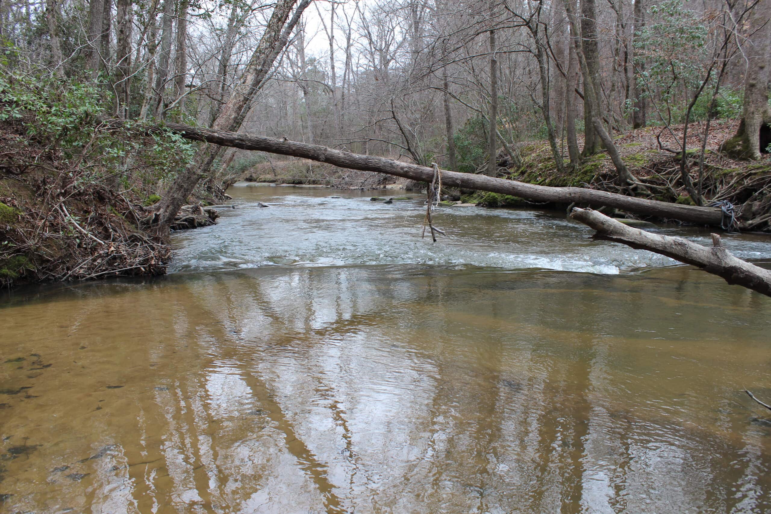 131 Acres of Prime Recreational Land in Loganville, GA – A Hunter’s Paradise & Potential Development Opportunity