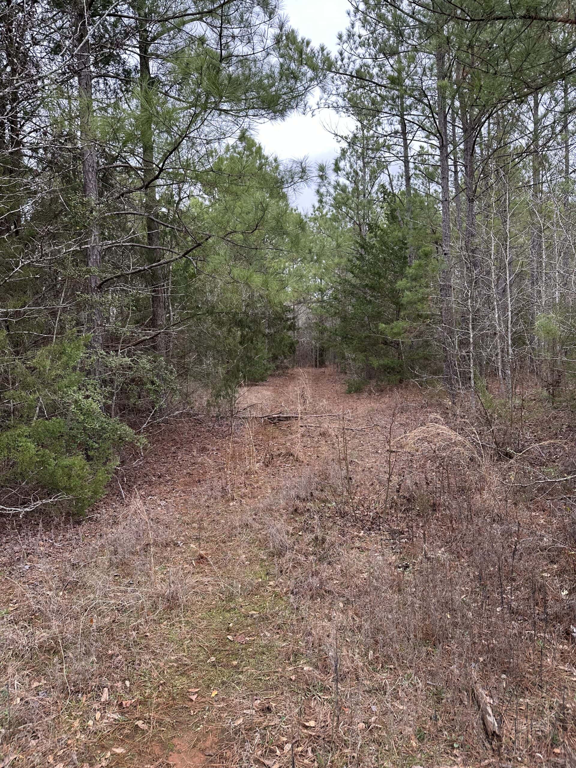 Cherokee County Texas Hunting/Recreational Tract For Sale