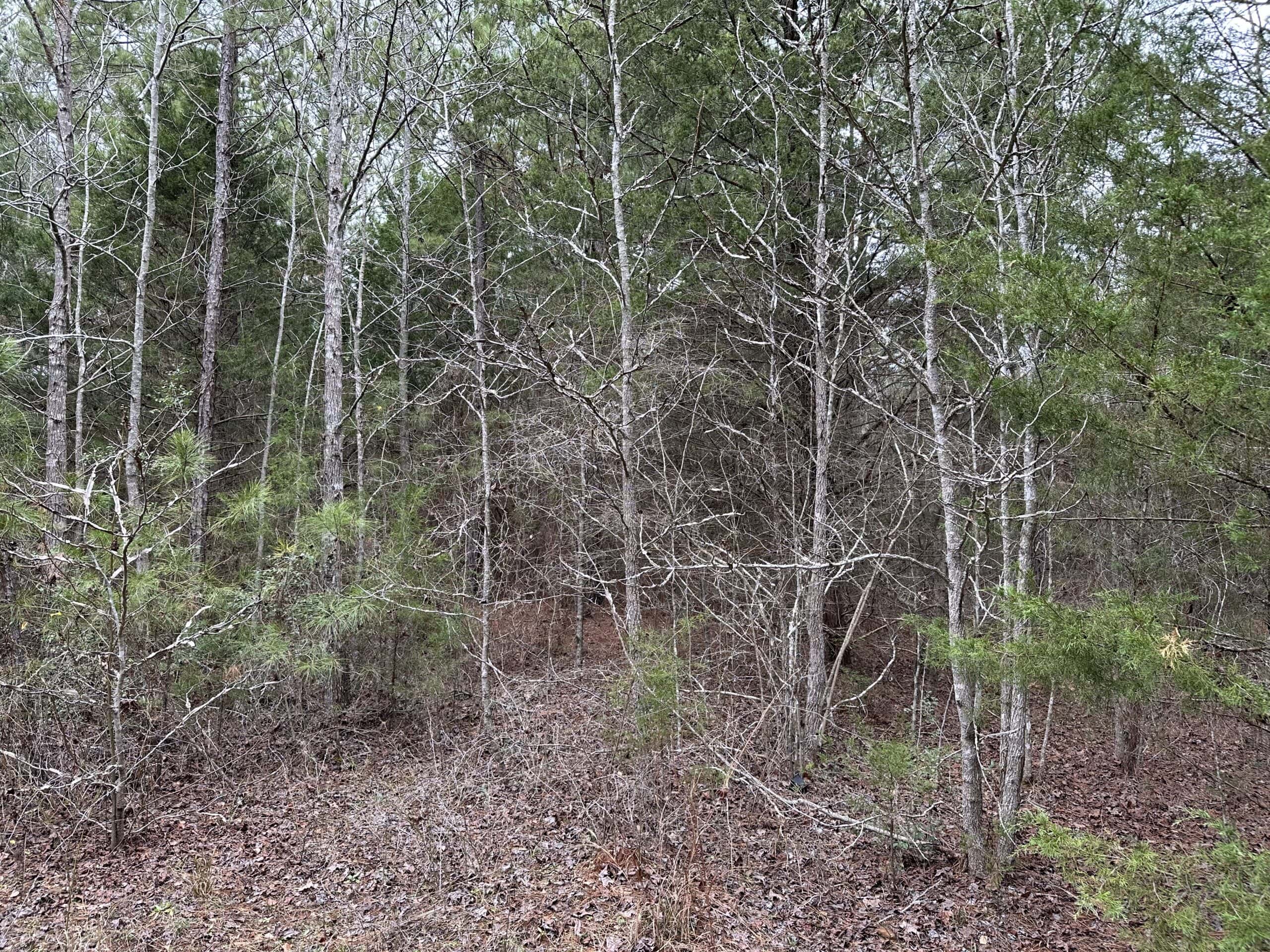 Cherokee County Texas Hunting/Recreational Tract For Sale