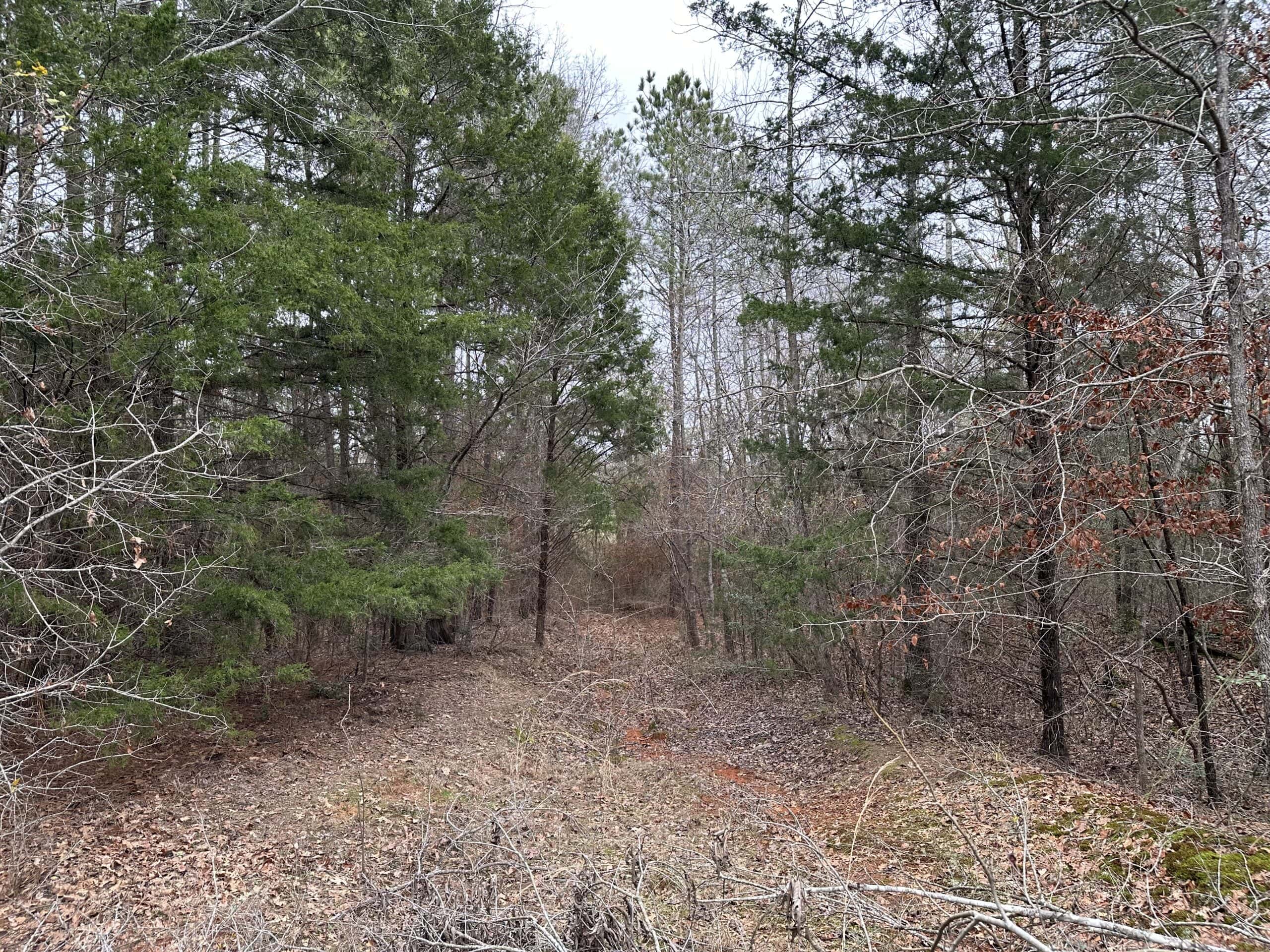 Cherokee County Texas Hunting/Recreational Tract For Sale