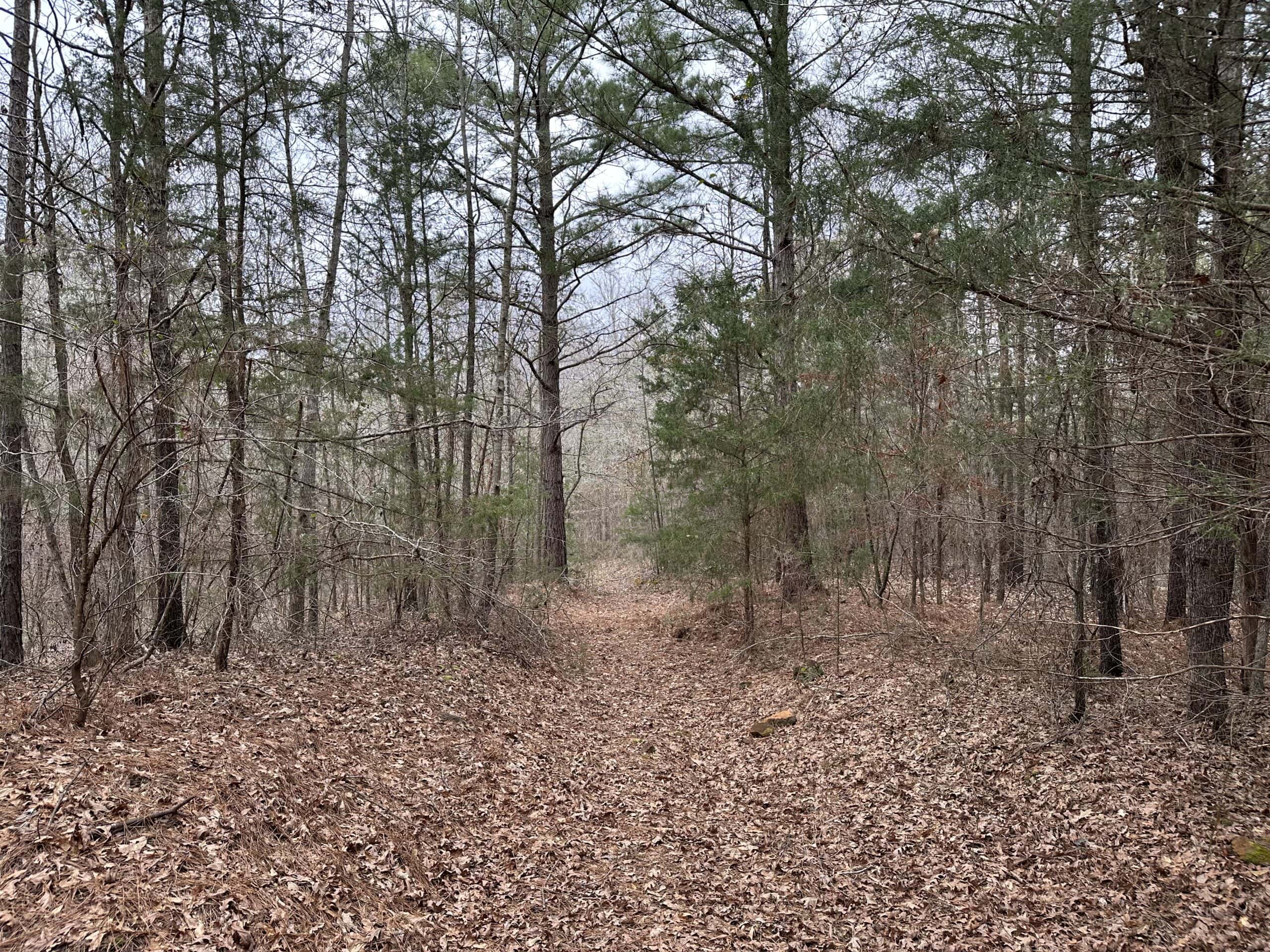 Cherokee County Texas Hunting/Recreational Tract For Sale