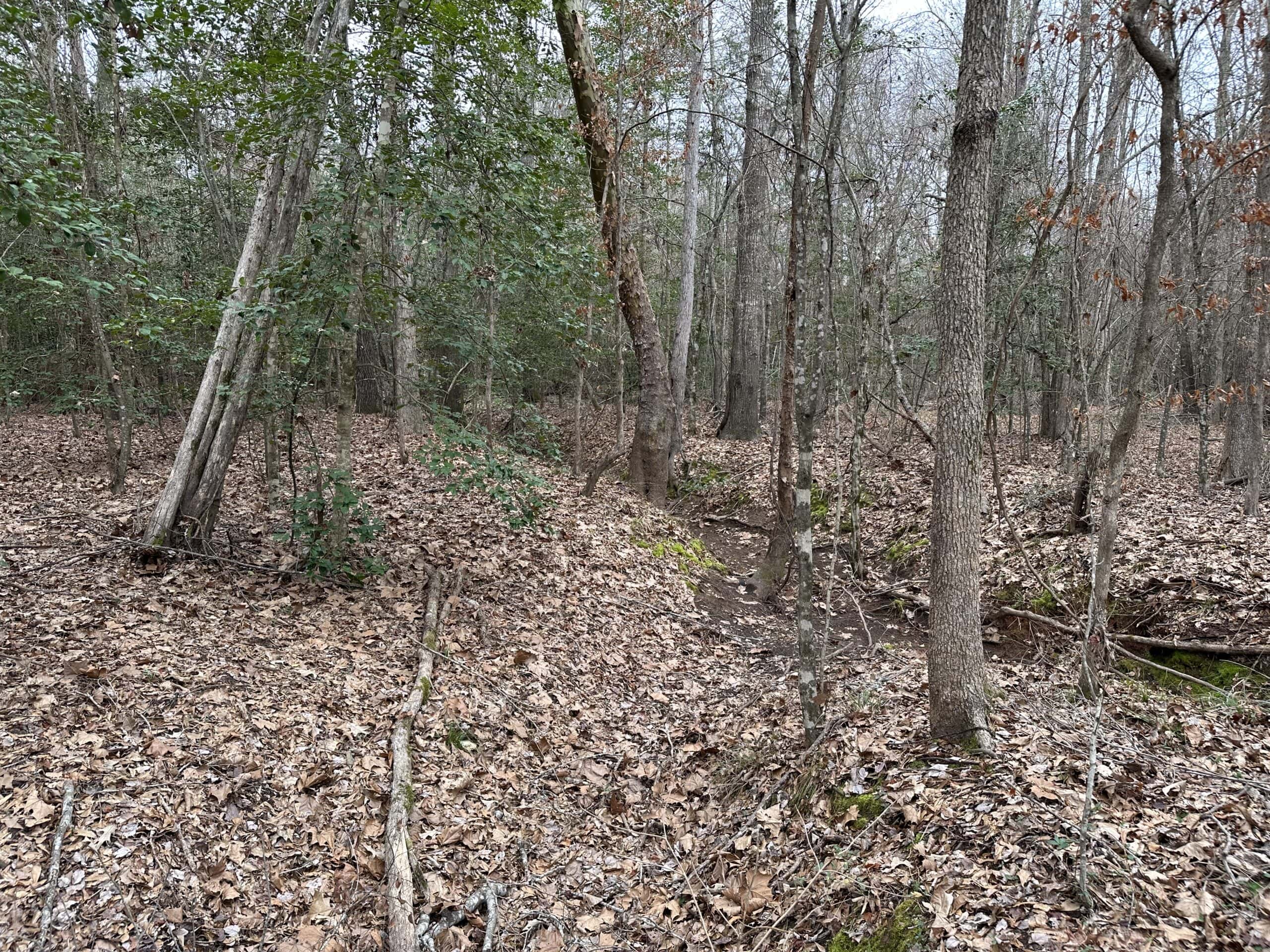 Cherokee County Texas Hunting/Recreational Tract For Sale