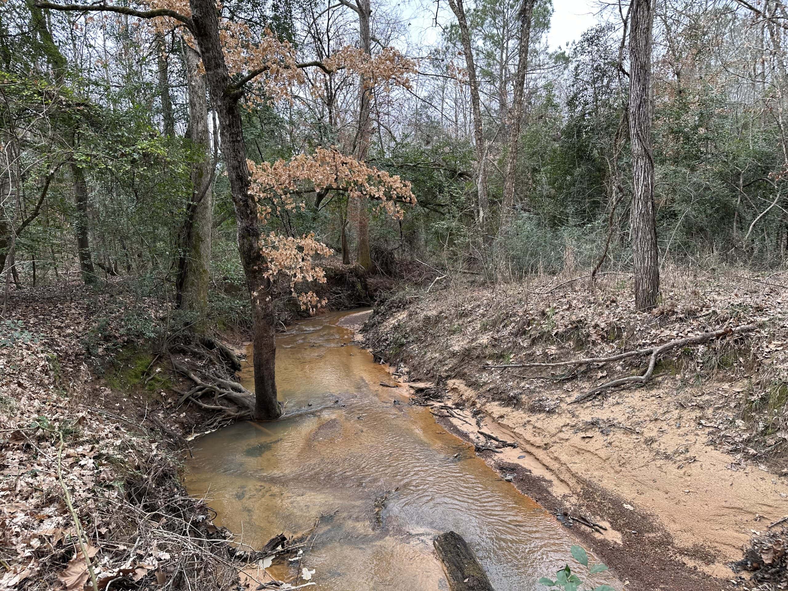 Cherokee County Texas Hunting/Recreational Tract For Sale
