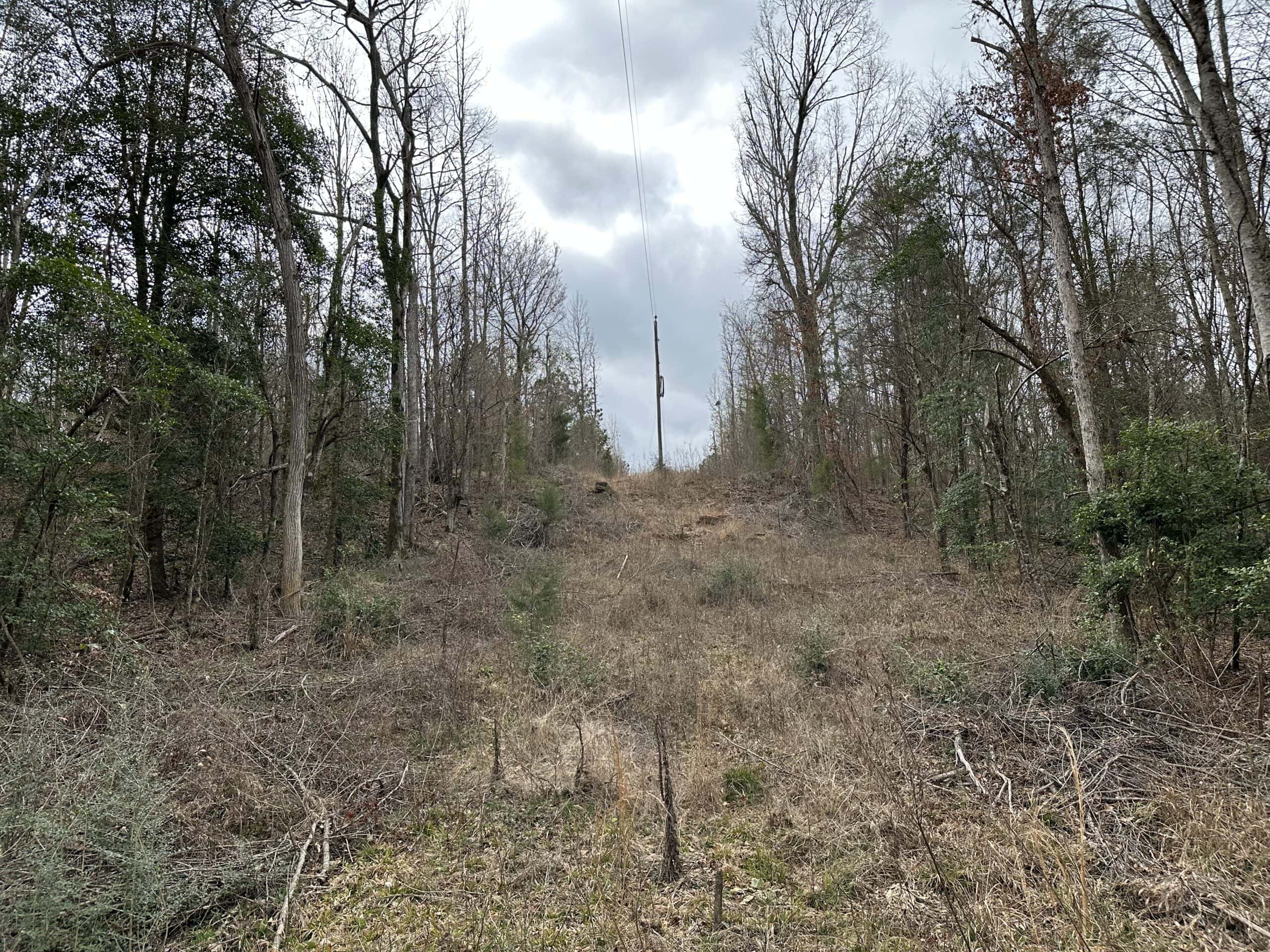 Cherokee County Texas Hunting/Recreational Tract For Sale