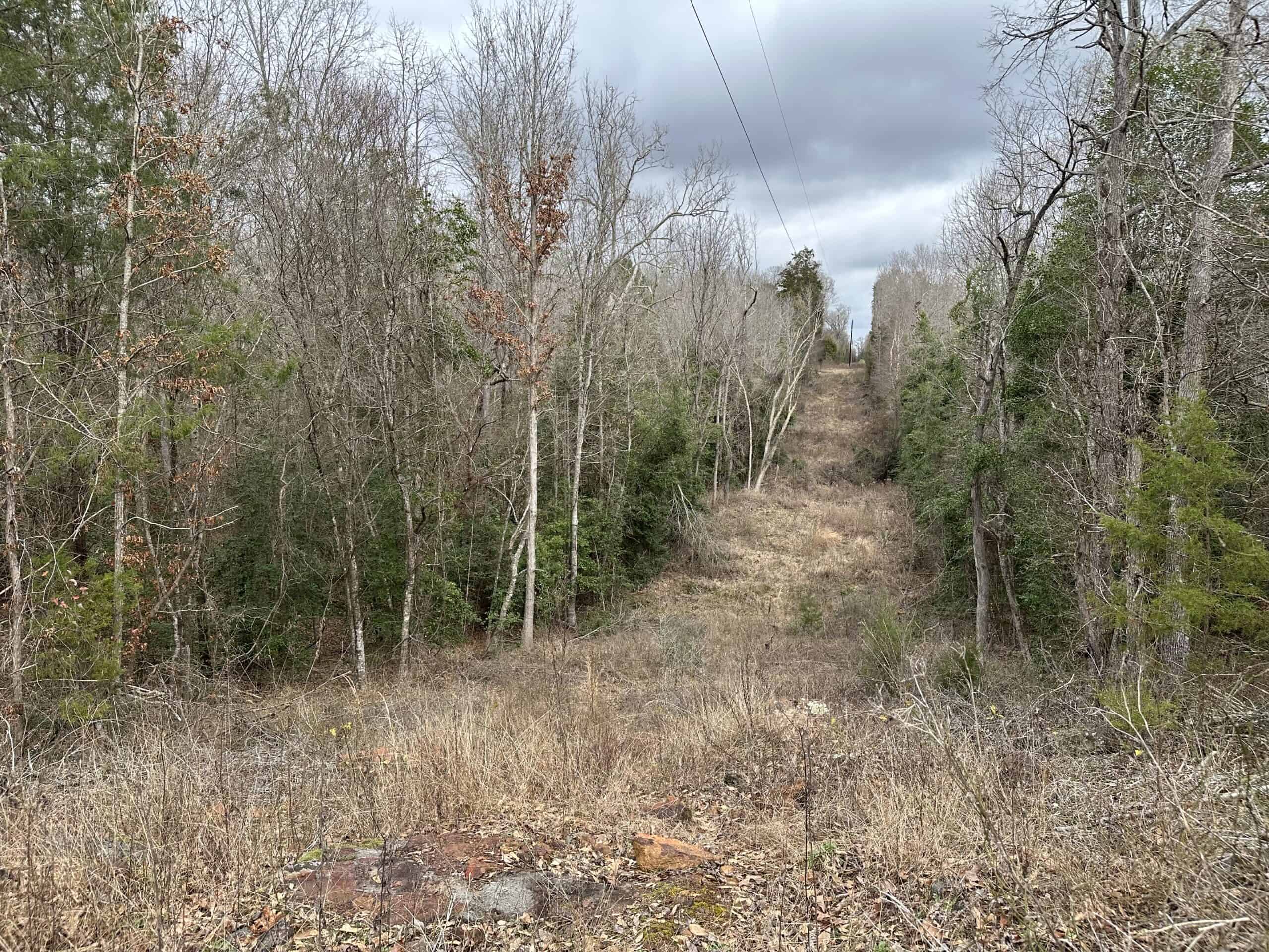 Cherokee County Texas Hunting/Recreational Tract For Sale