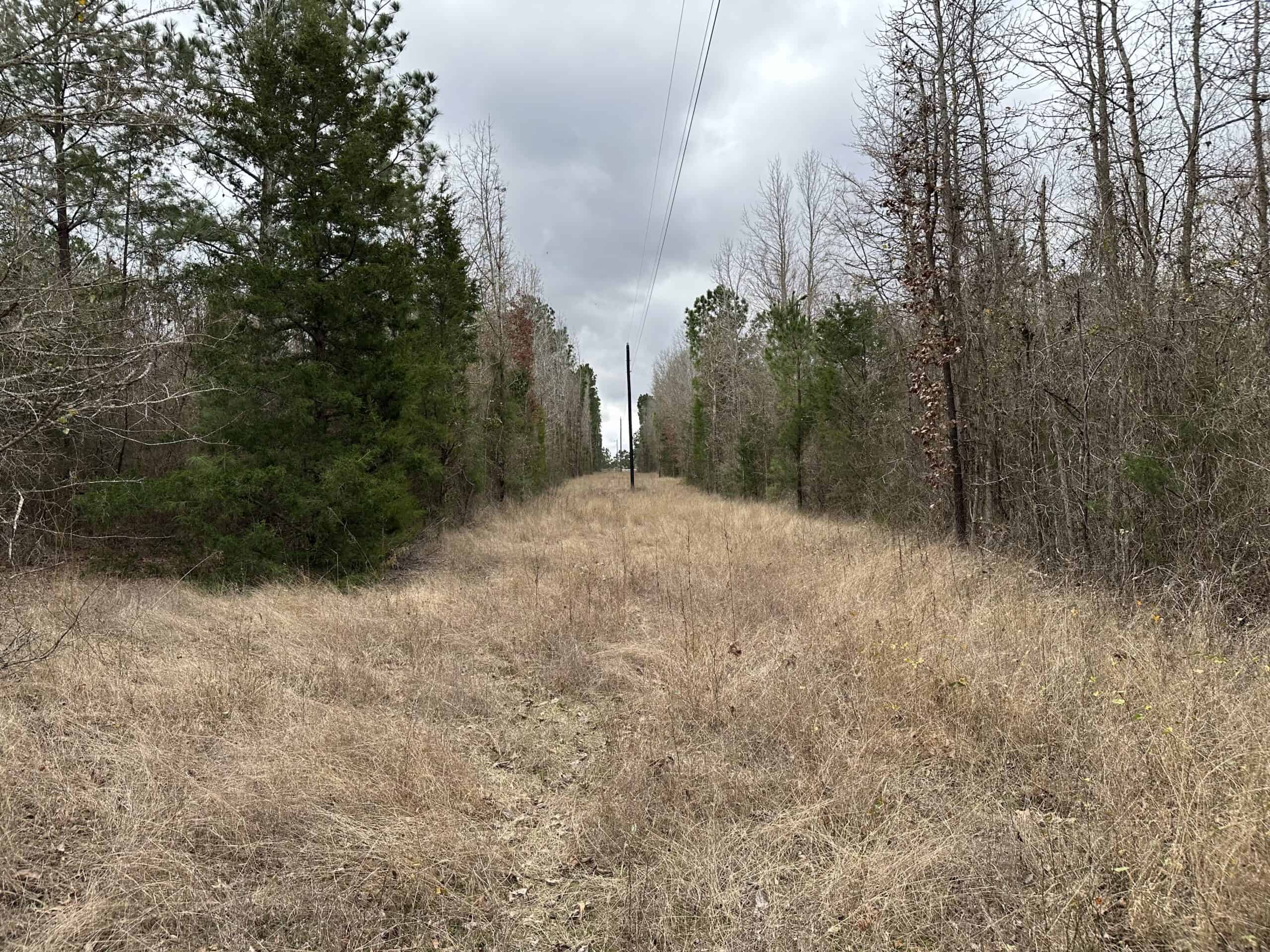 Cherokee County Texas Hunting/Recreational Tract For Sale