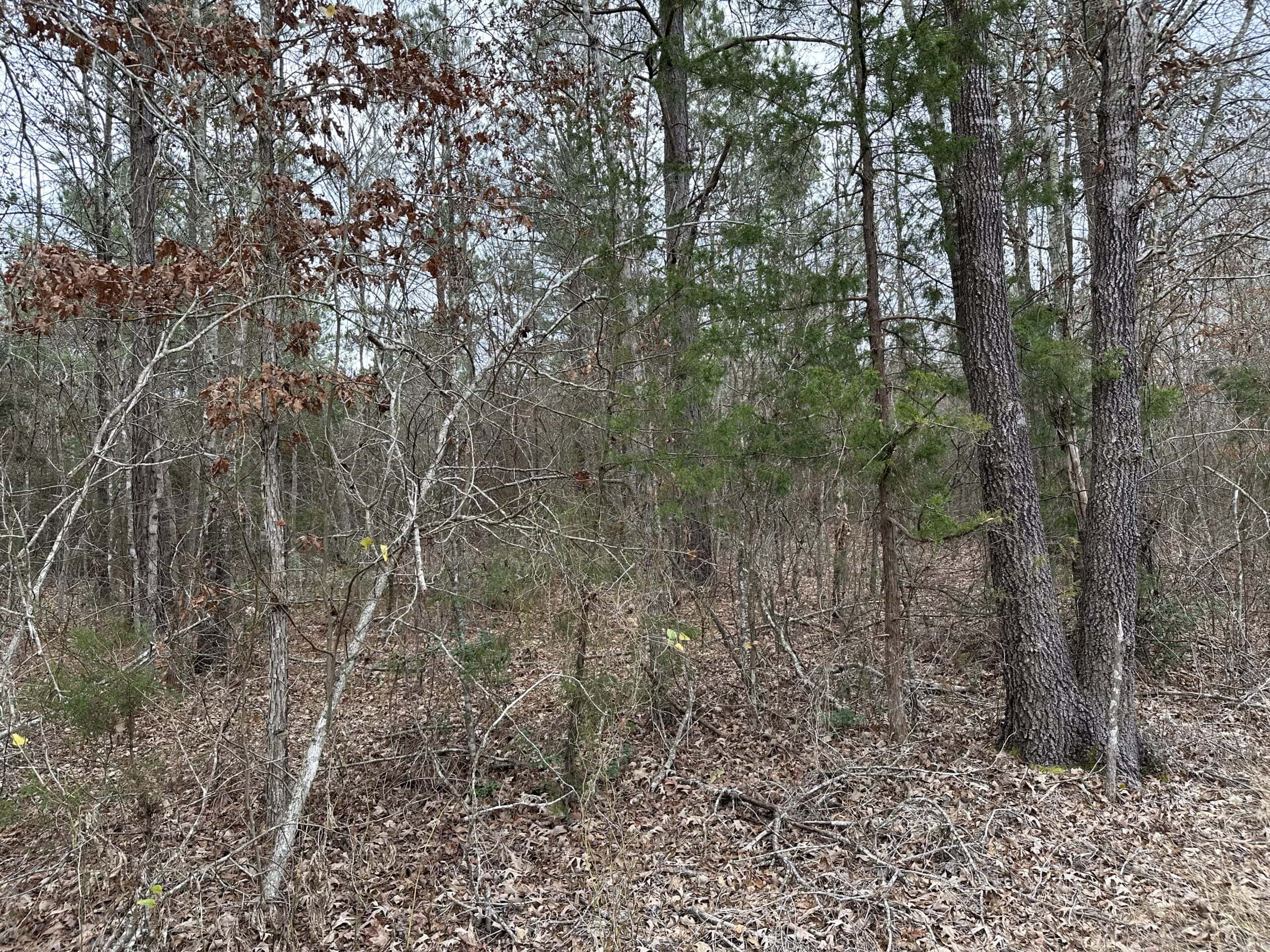 Cherokee County Texas Hunting/Recreational Tract For Sale