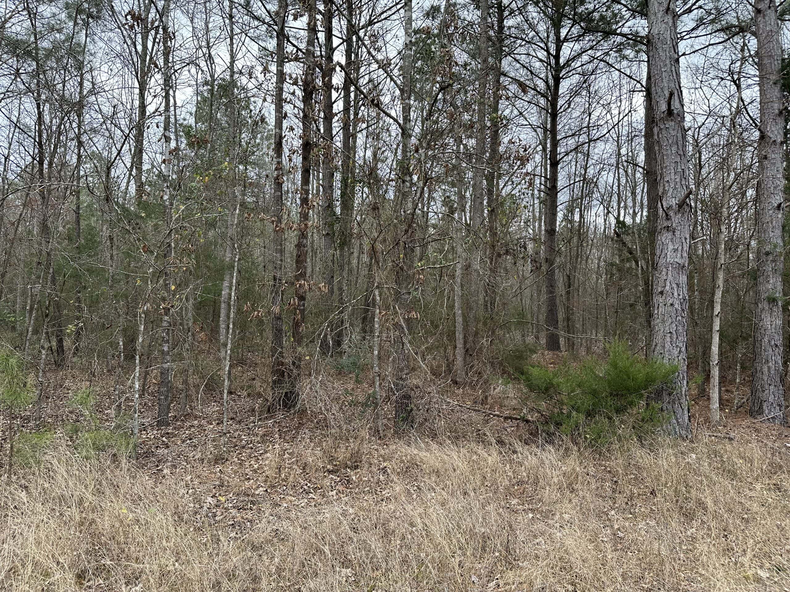 Cherokee County Texas Hunting/Recreational Tract For Sale